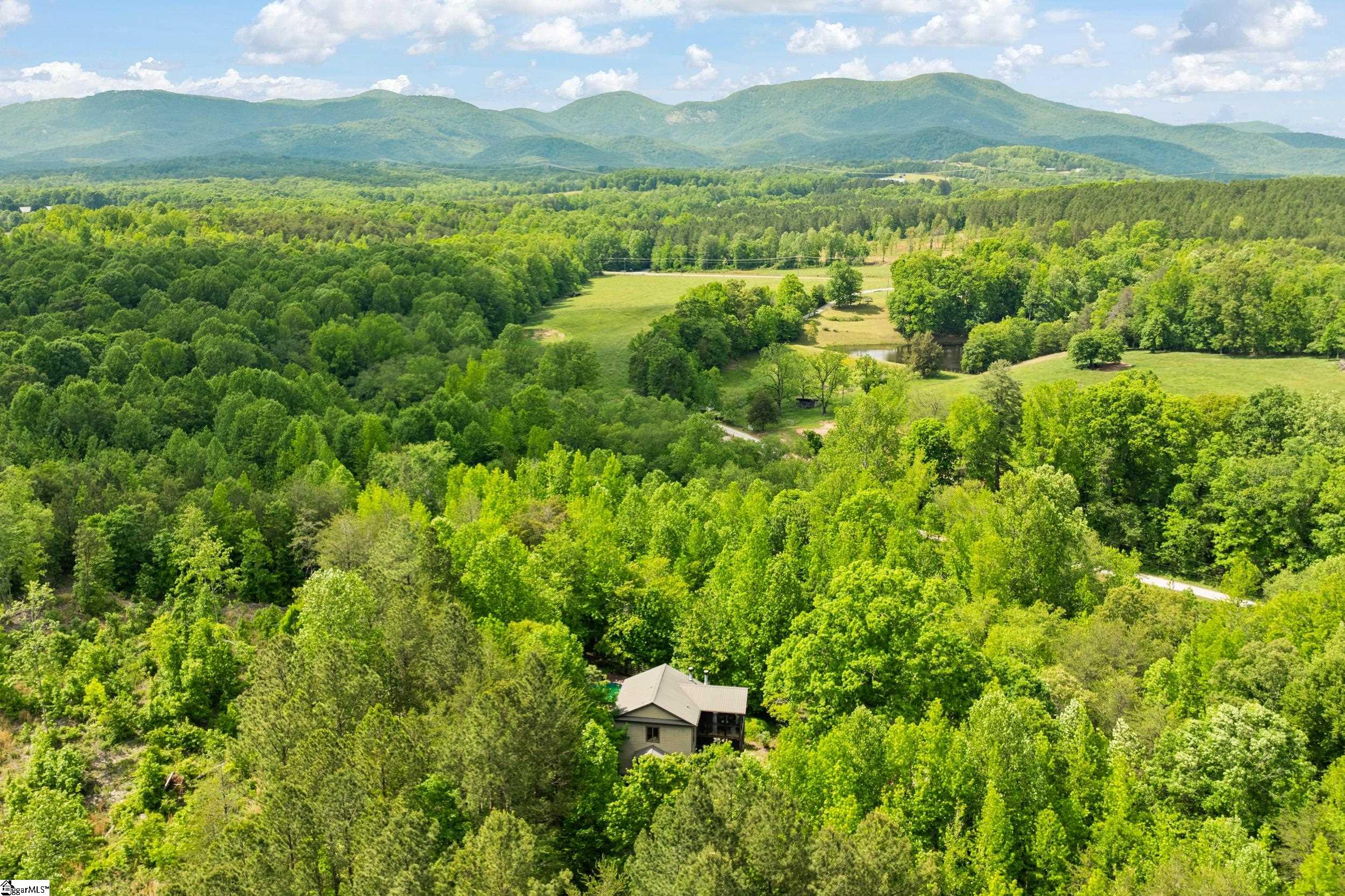 707 Lister, Landrum, South Carolina image 3