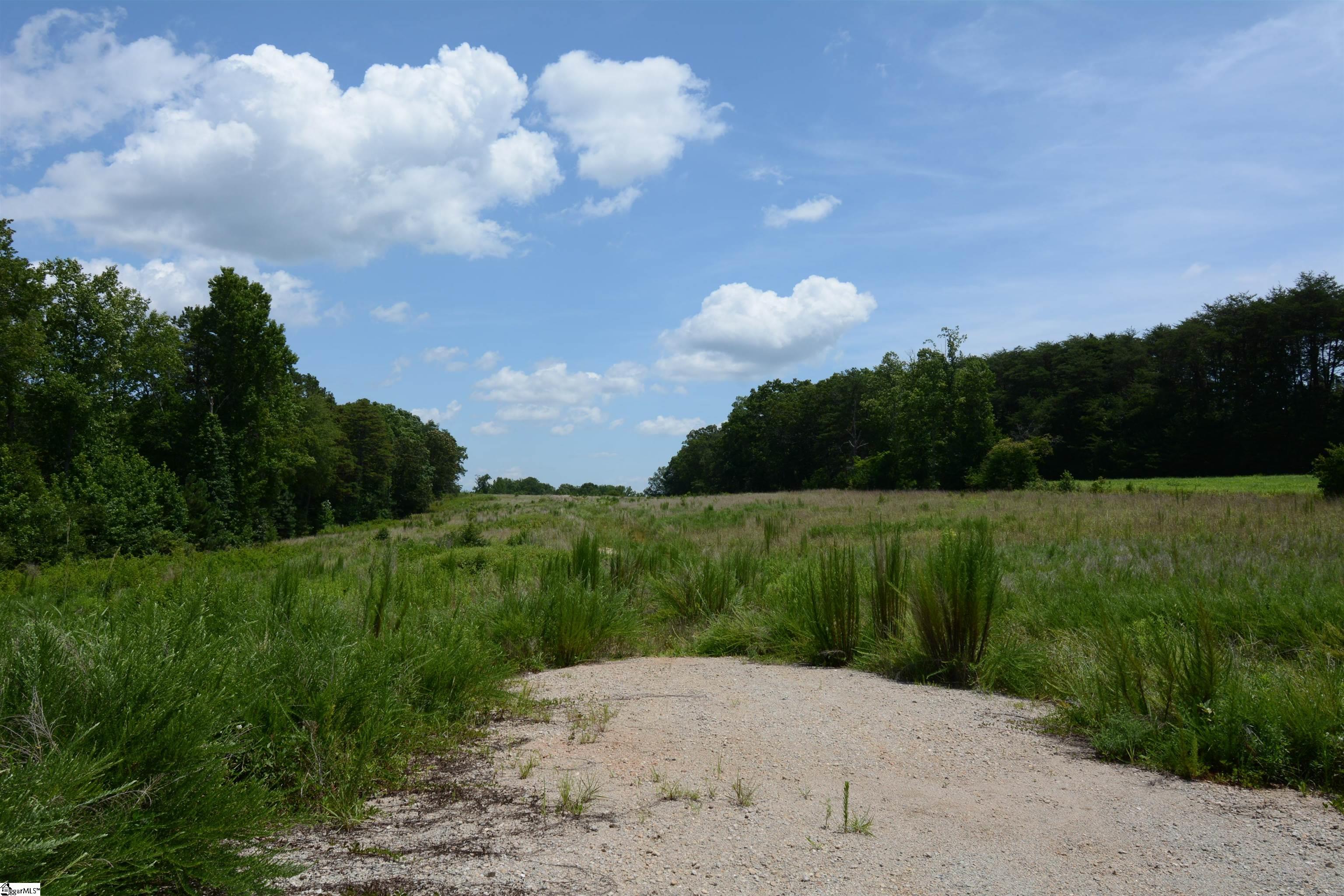 Line, Greer, South Carolina image 2