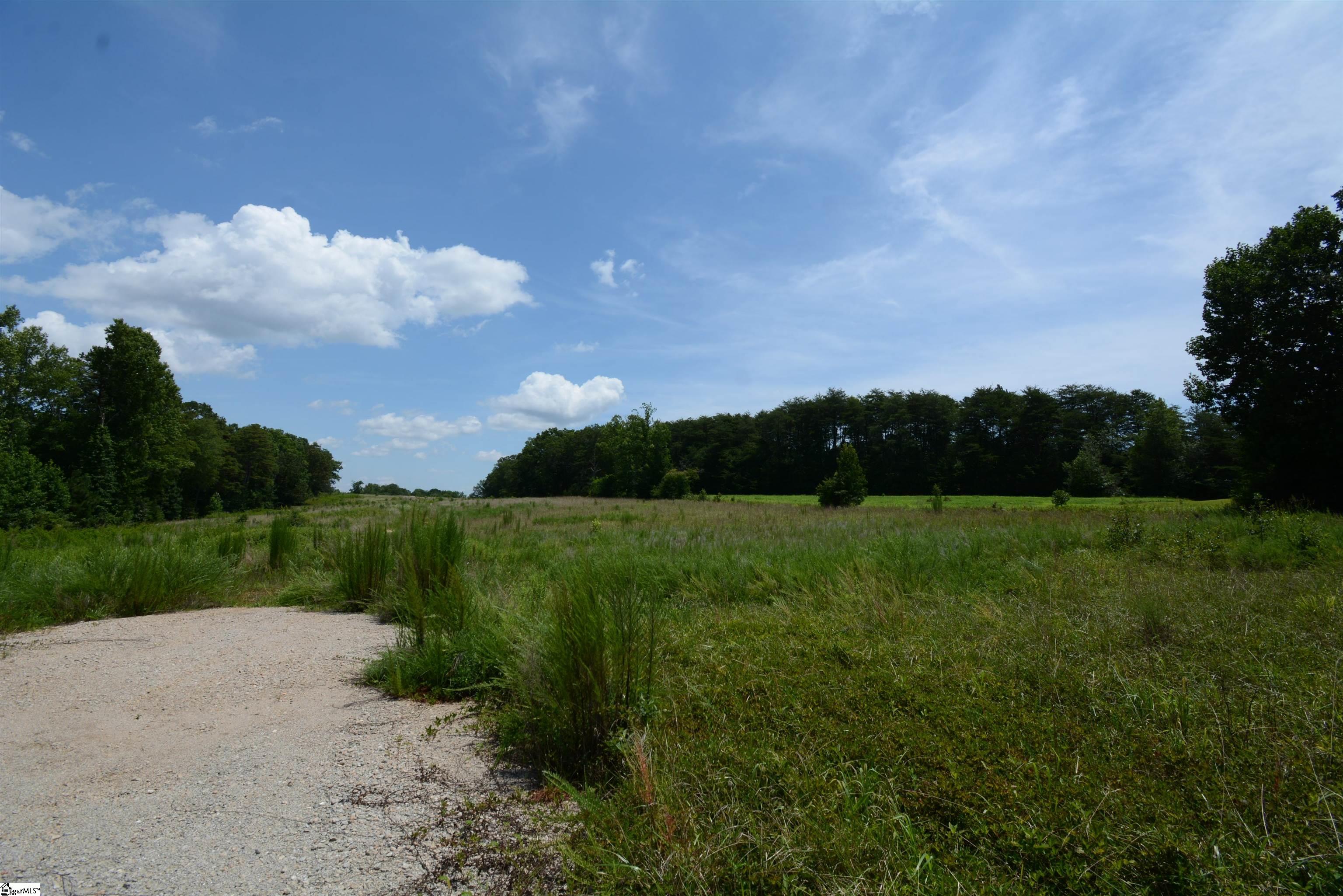Line, Greer, South Carolina image 7