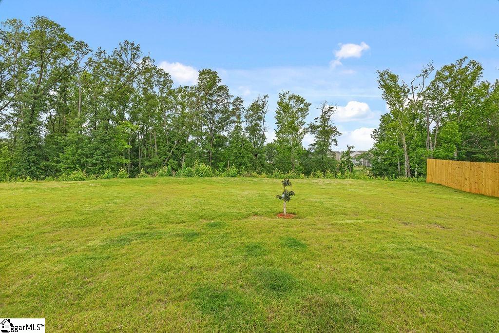 4811 Midvale, Boiling Springs, South Carolina image 30