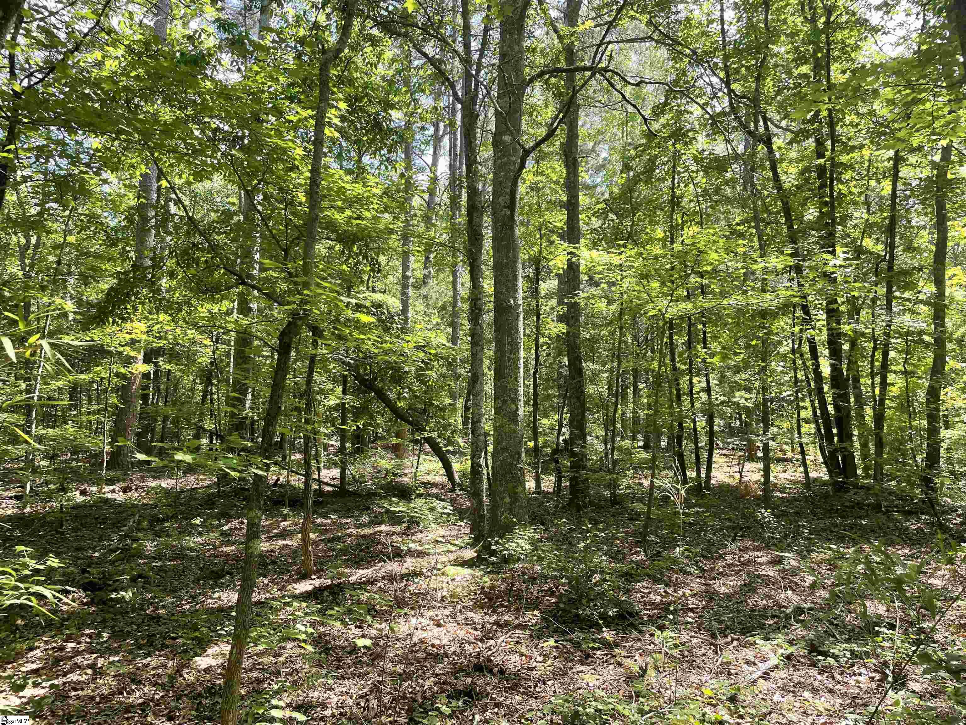 00 Clatworthy, Honea Path, South Carolina image 2