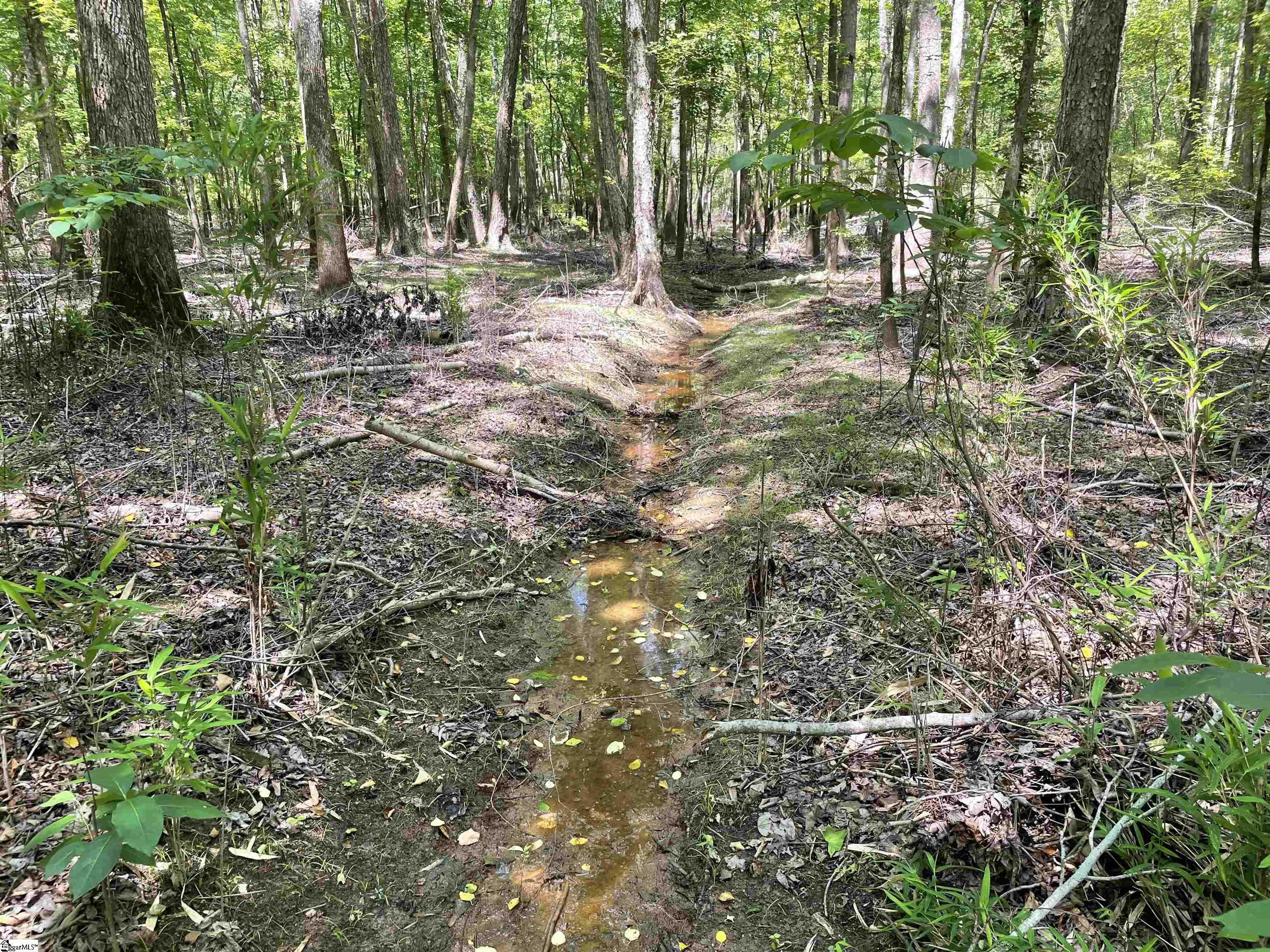 00 Clatworthy, Honea Path, South Carolina image 12