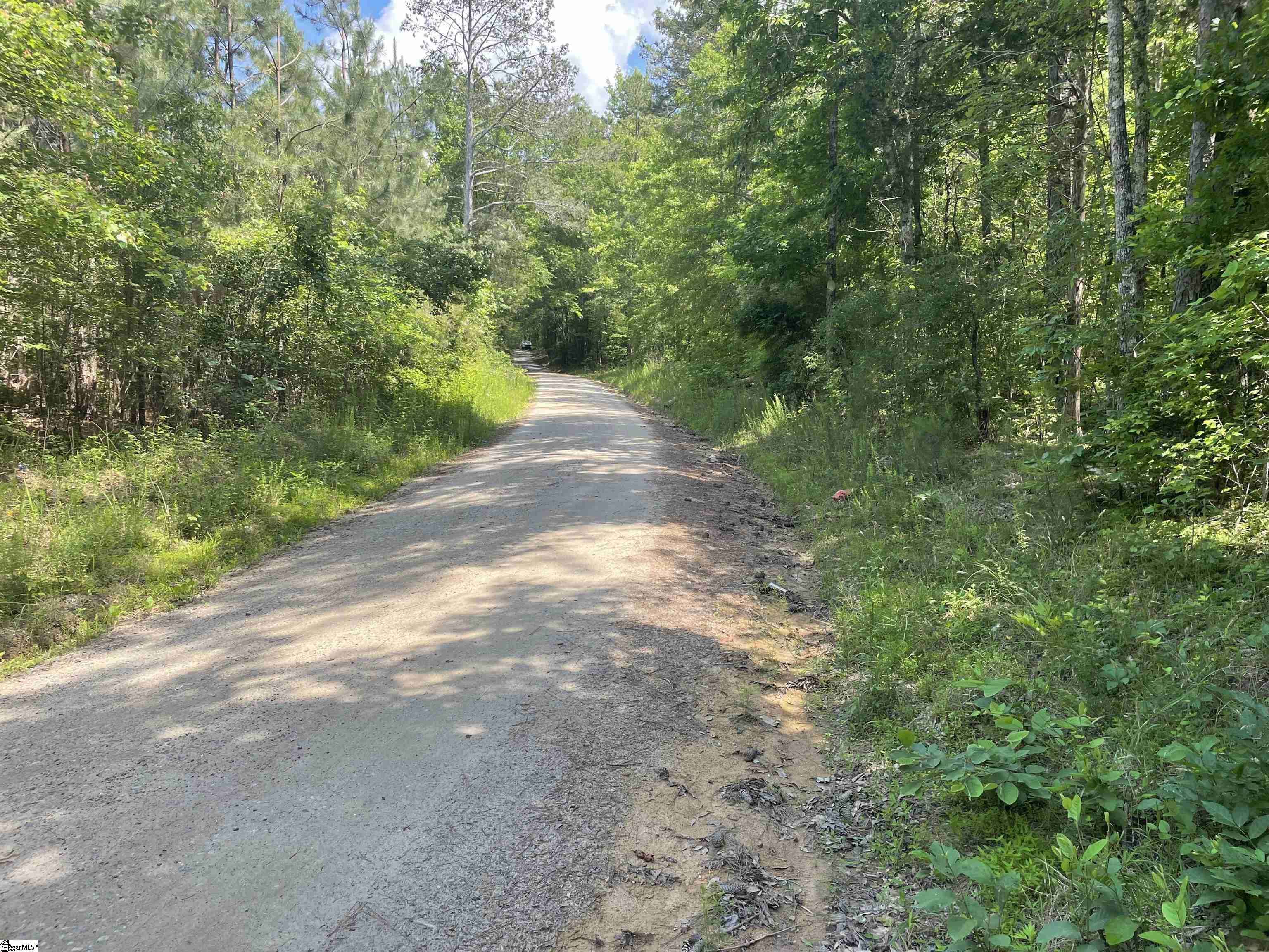 00 Clatworthy, Honea Path, South Carolina image 16