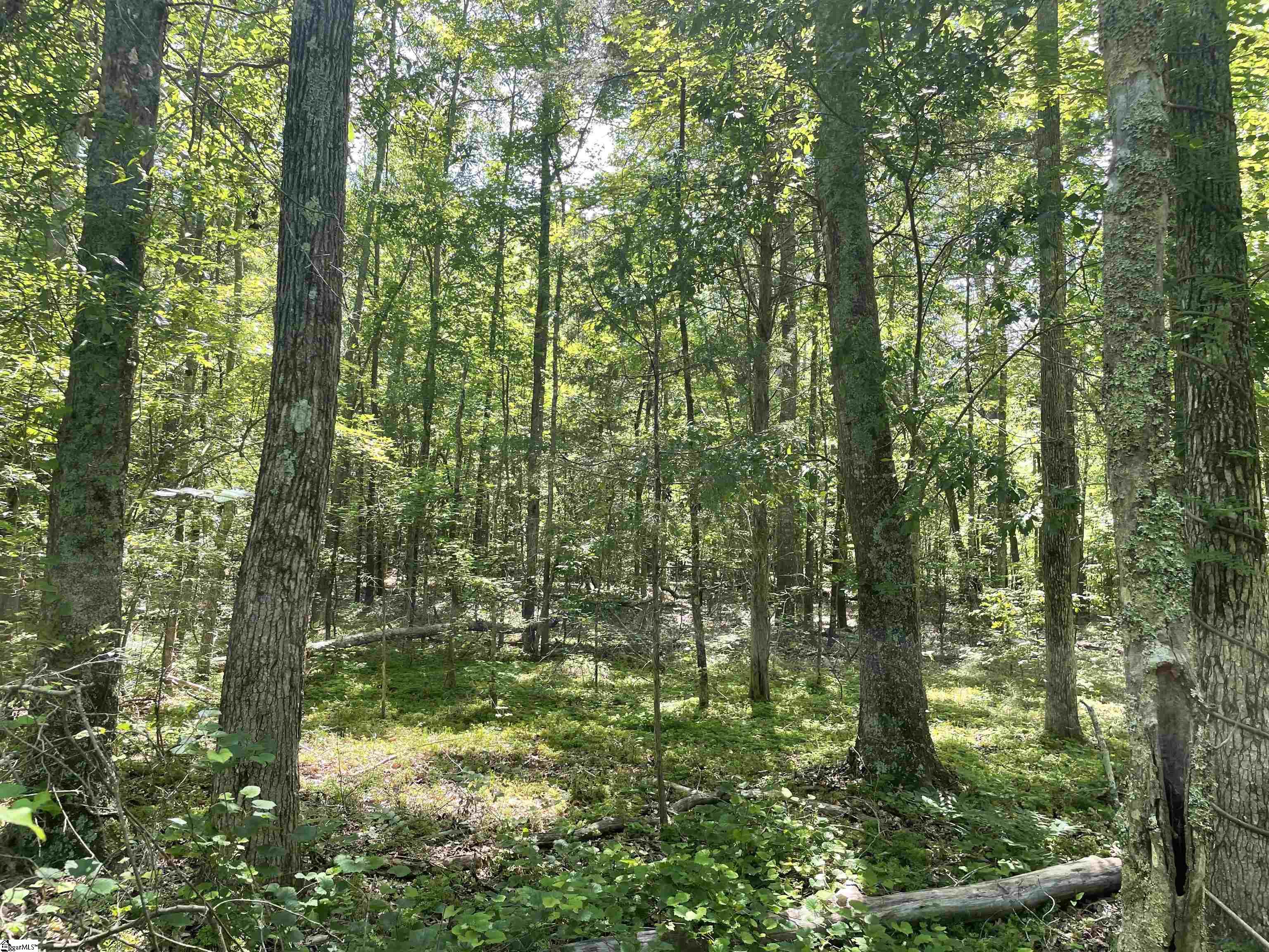 00 Clatworthy, Honea Path, South Carolina image 4
