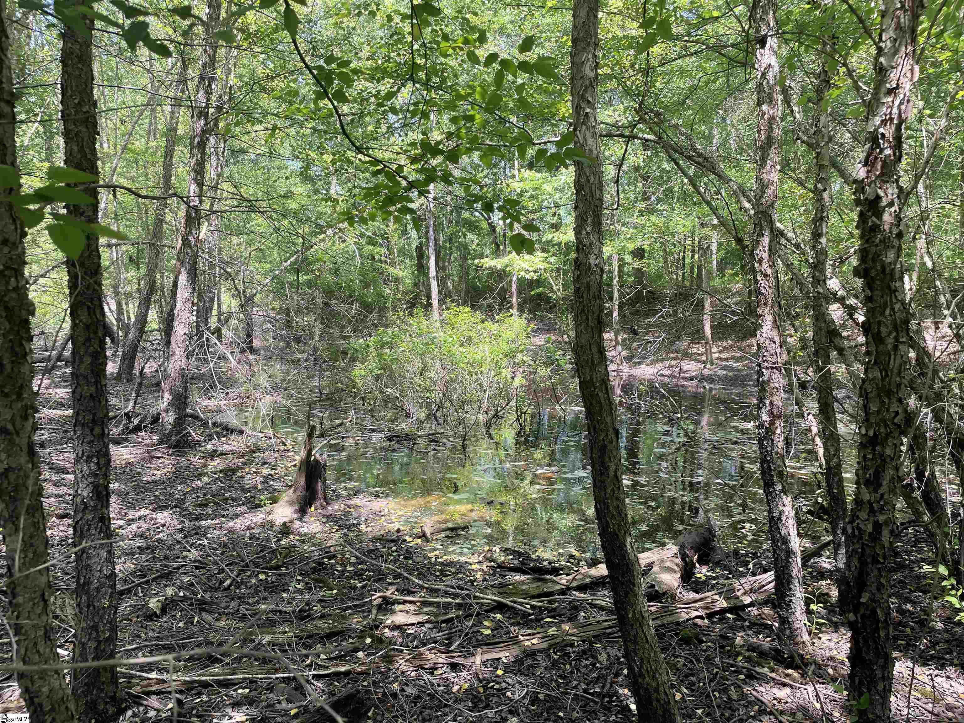 00 Clatworthy, Honea Path, South Carolina image 5