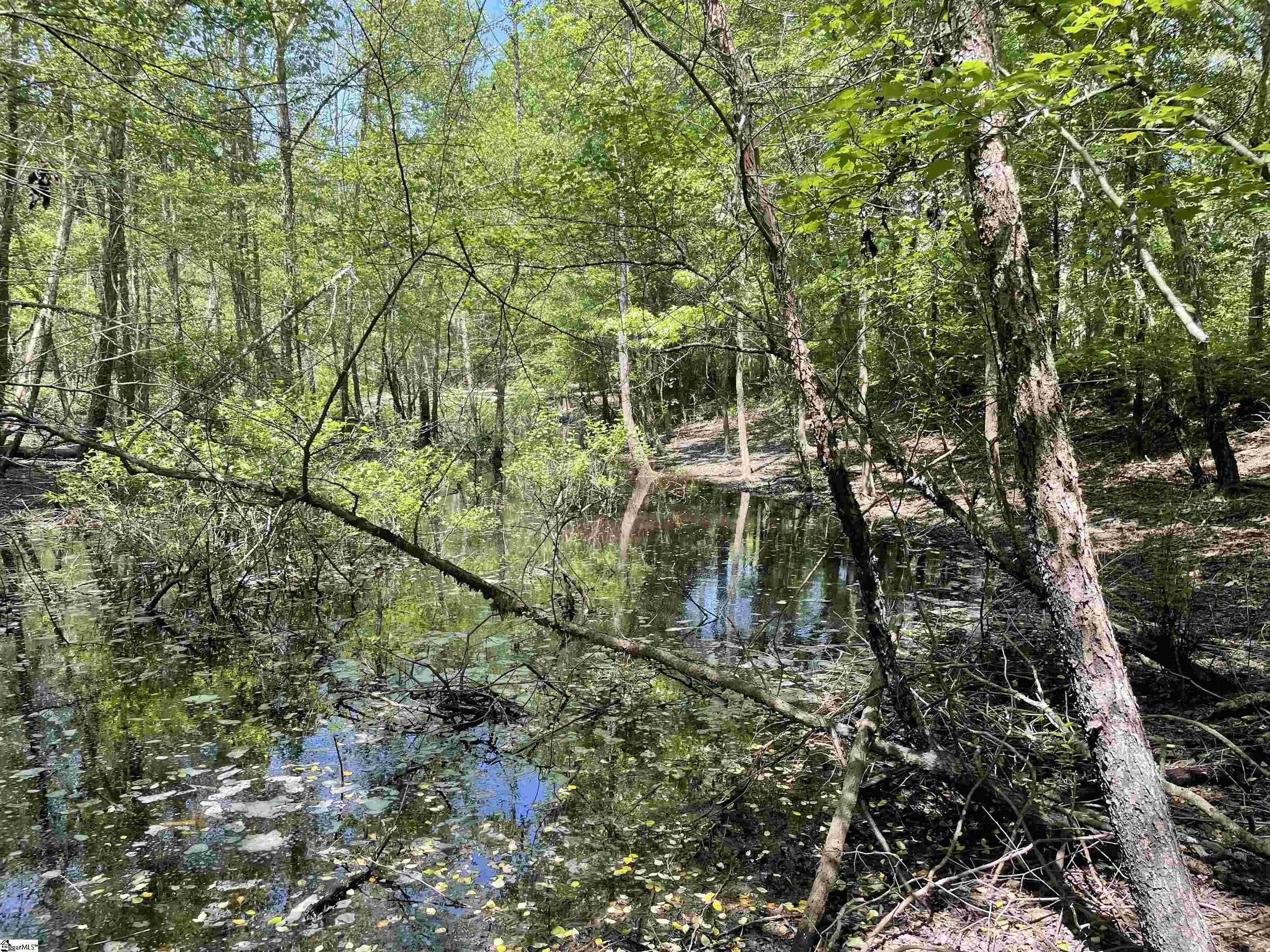 00 Clatworthy, Honea Path, South Carolina image 6