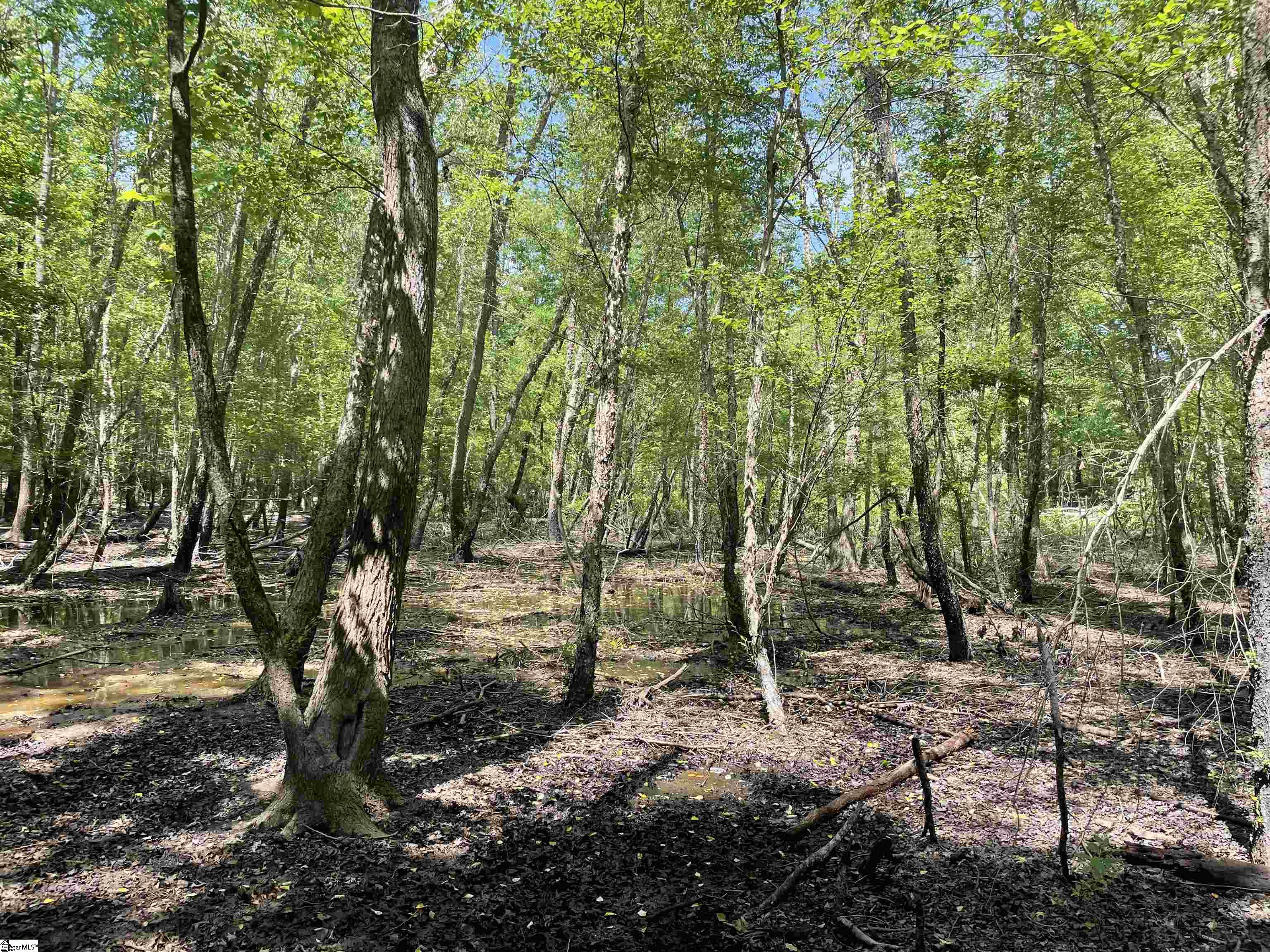 00 Clatworthy, Honea Path, South Carolina image 8
