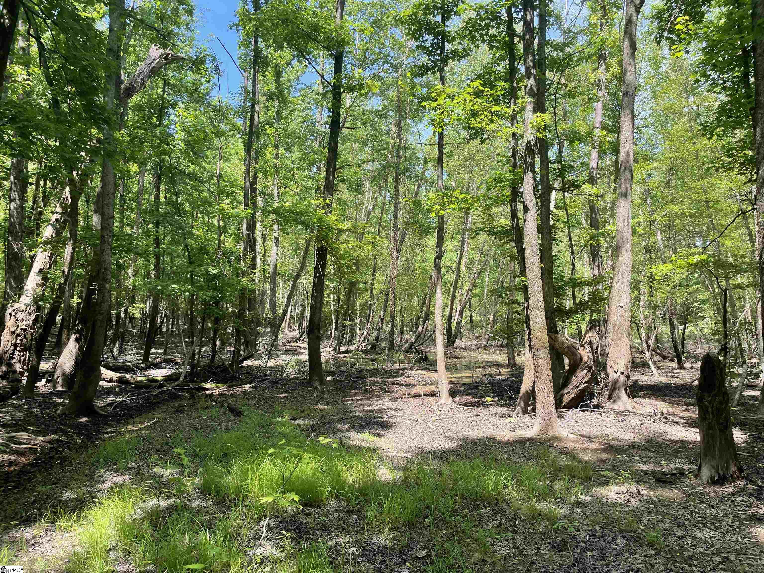 00 Clatworthy, Honea Path, South Carolina image 9