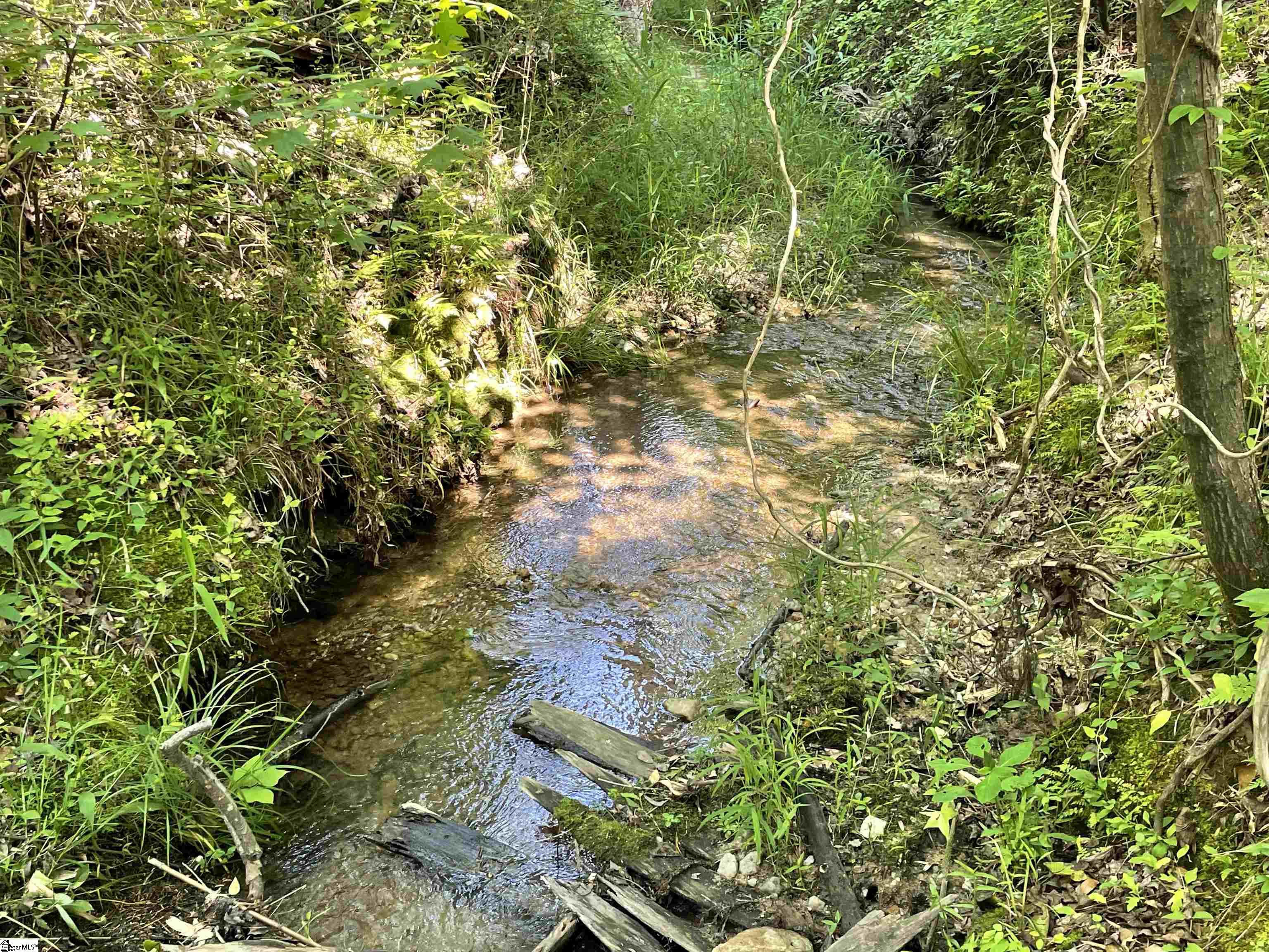 00 Clatworthy, Honea Path, South Carolina image 2