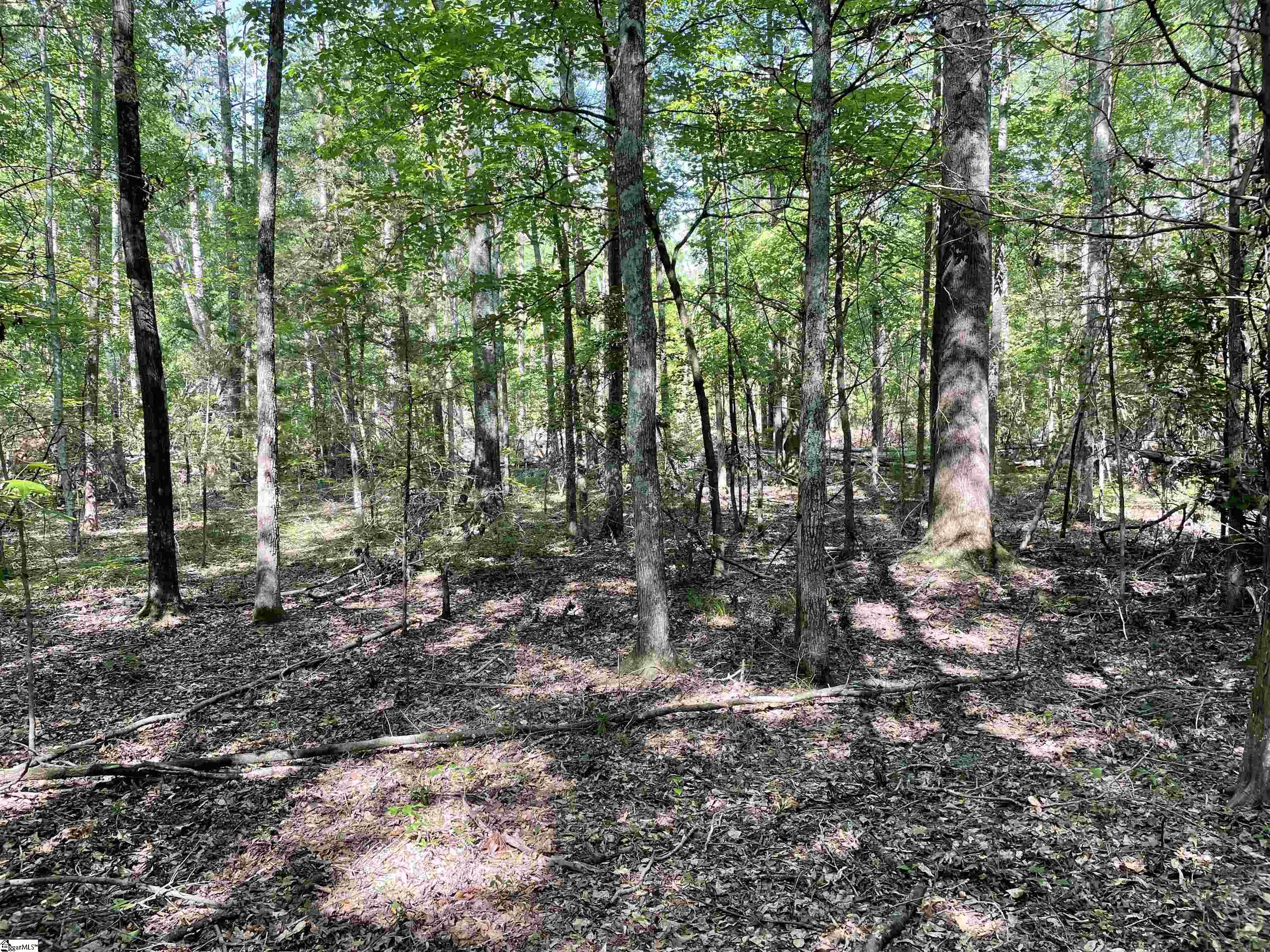 00 Clatworthy, Honea Path, South Carolina image 11