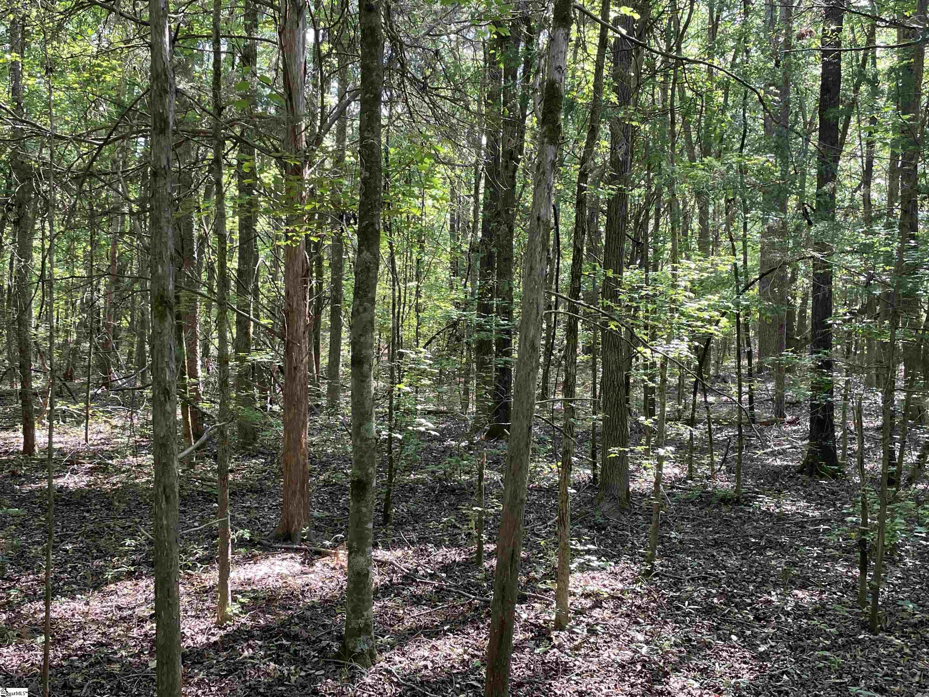 00 Clatworthy, Honea Path, South Carolina image 12