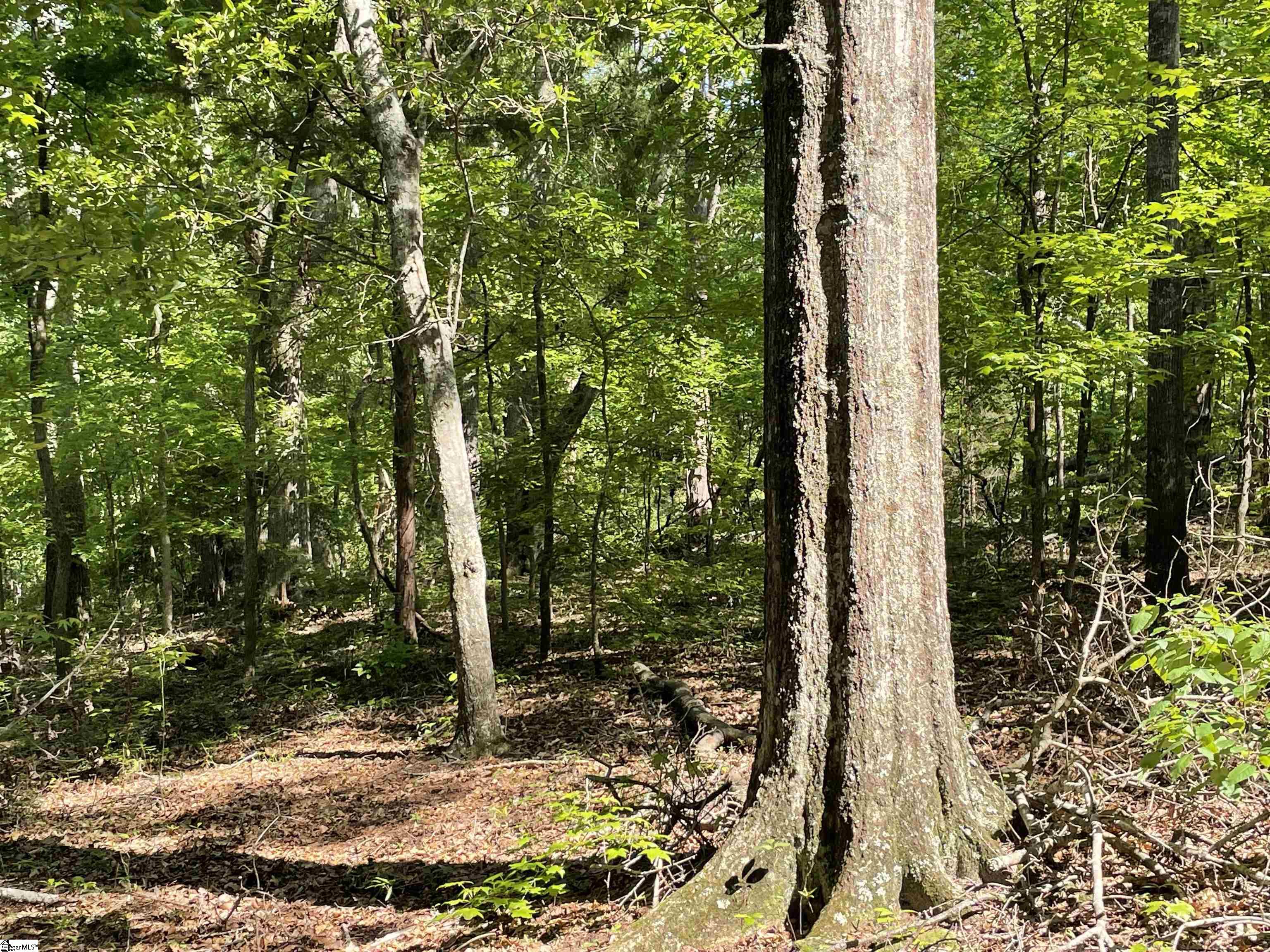 00 Clatworthy, Honea Path, South Carolina image 13