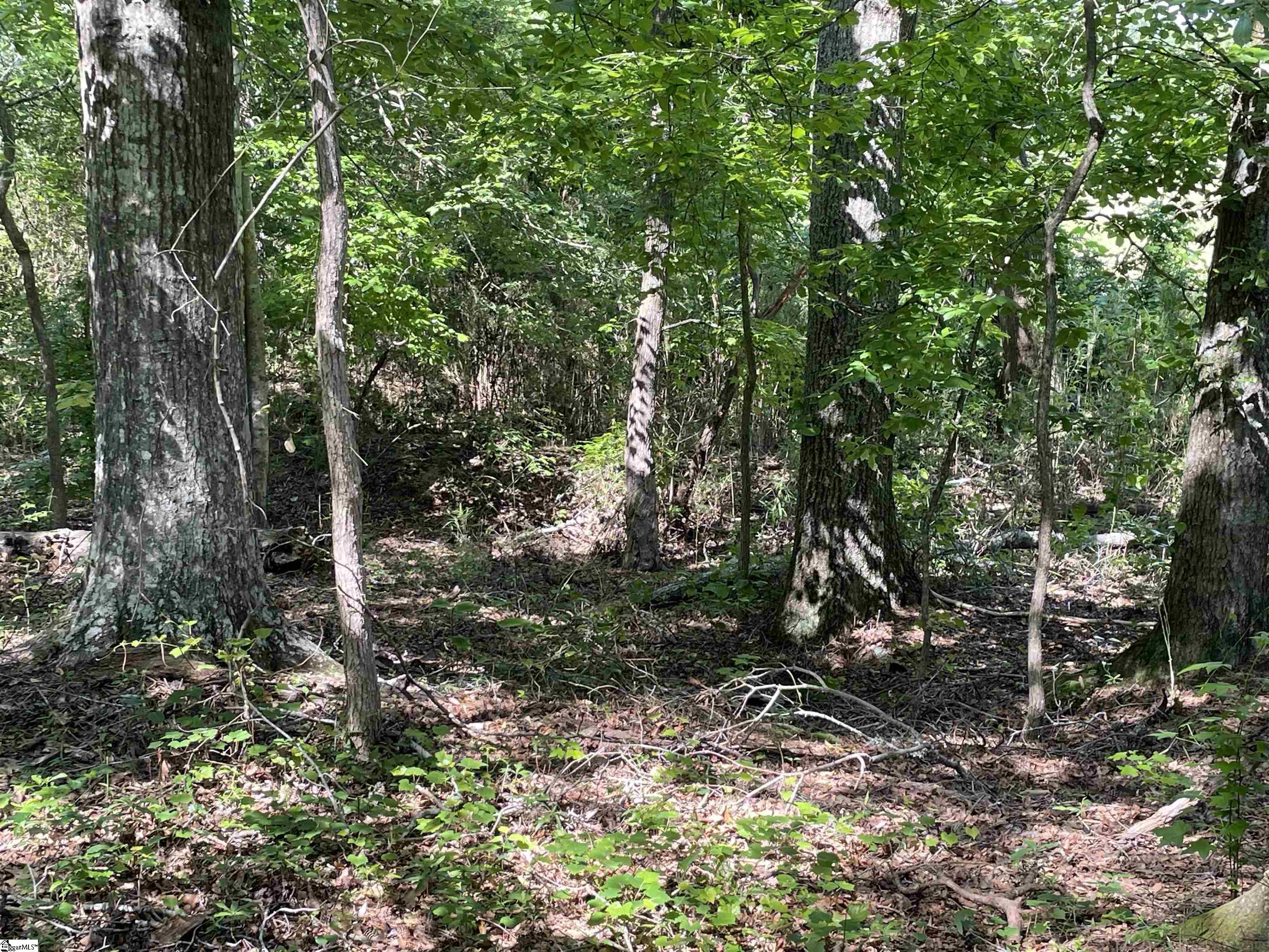 00 Clatworthy, Honea Path, South Carolina image 14