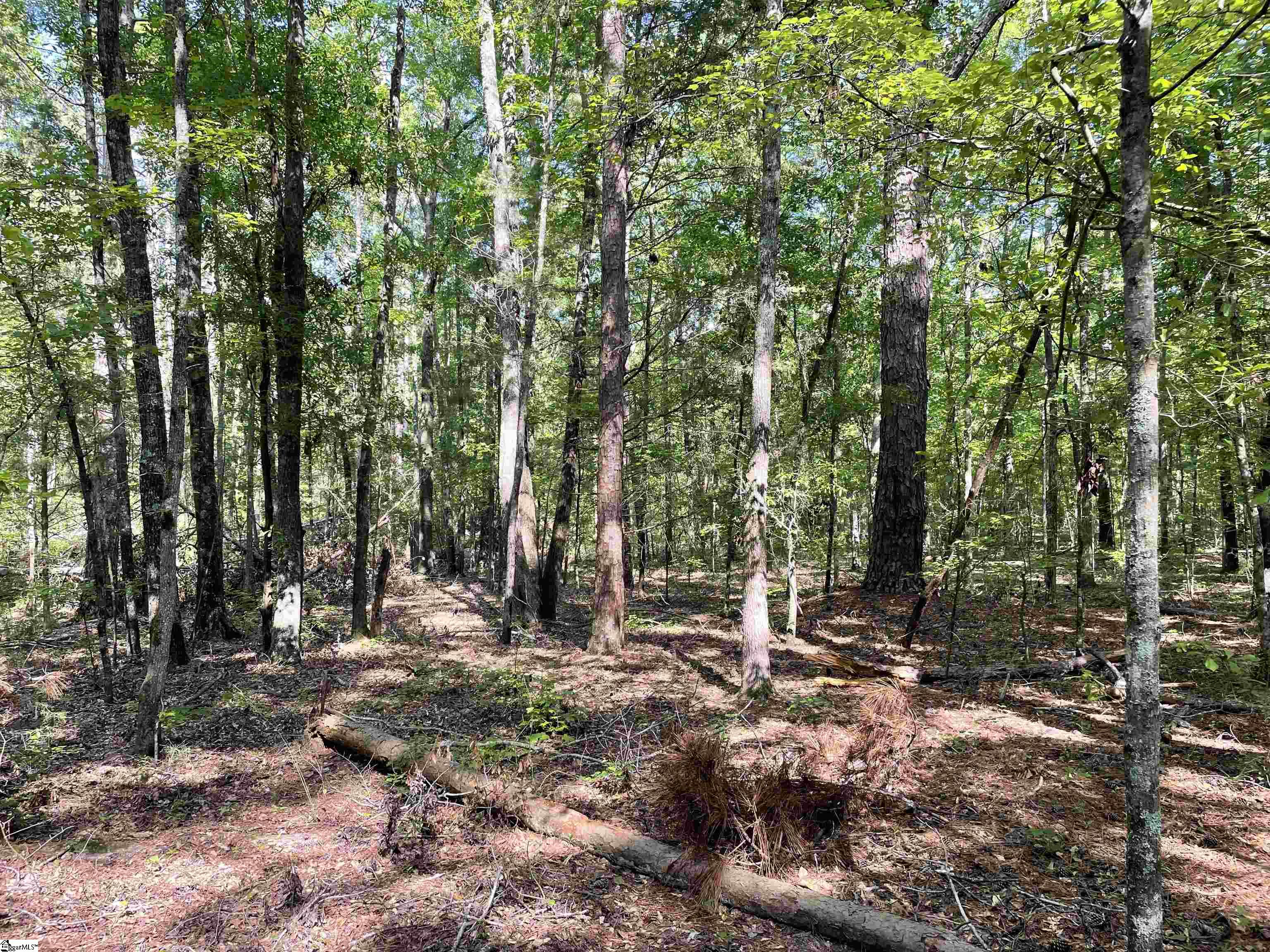 00 Clatworthy, Honea Path, South Carolina image 15