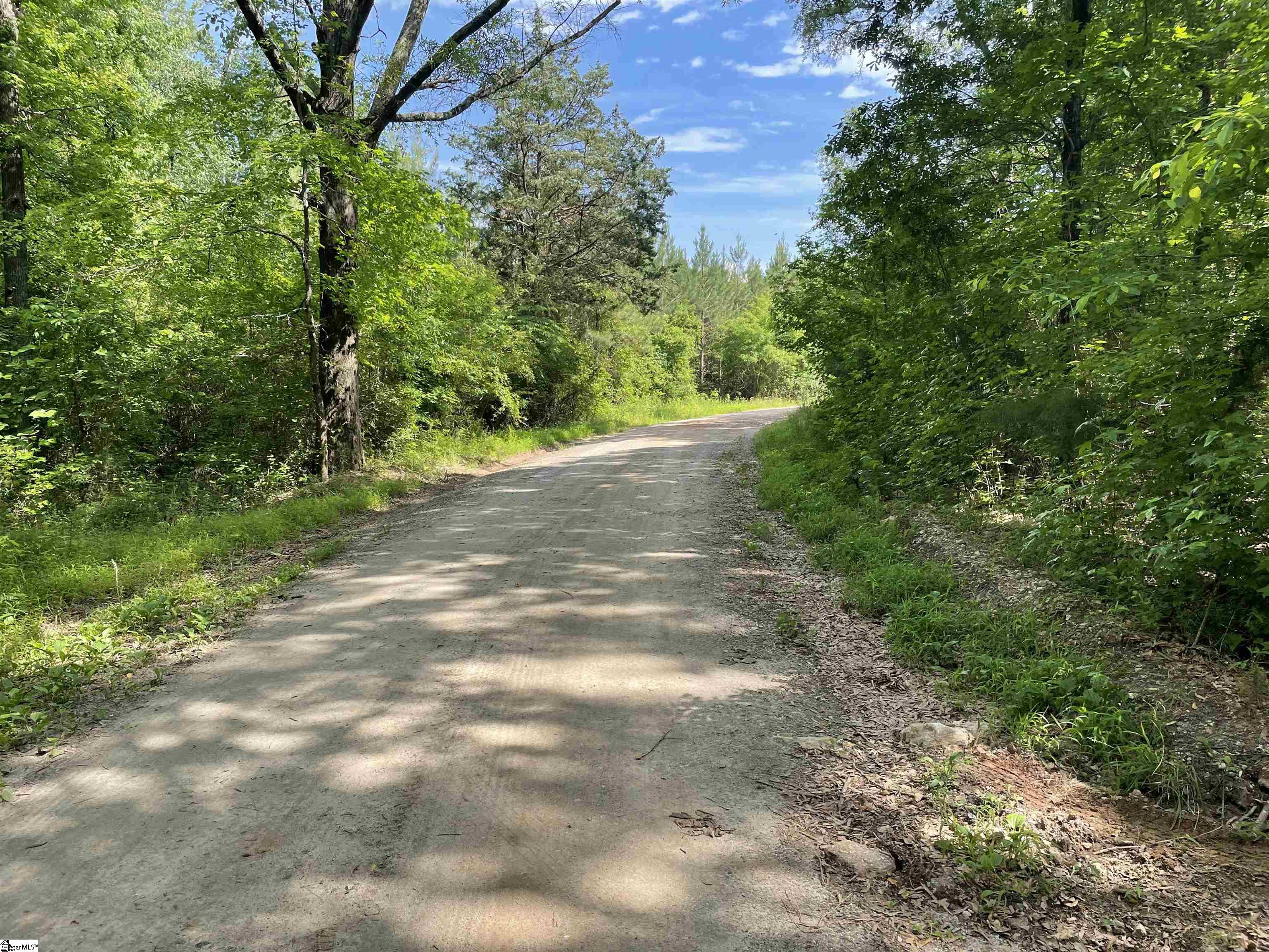 00 Clatworthy, Honea Path, South Carolina image 17