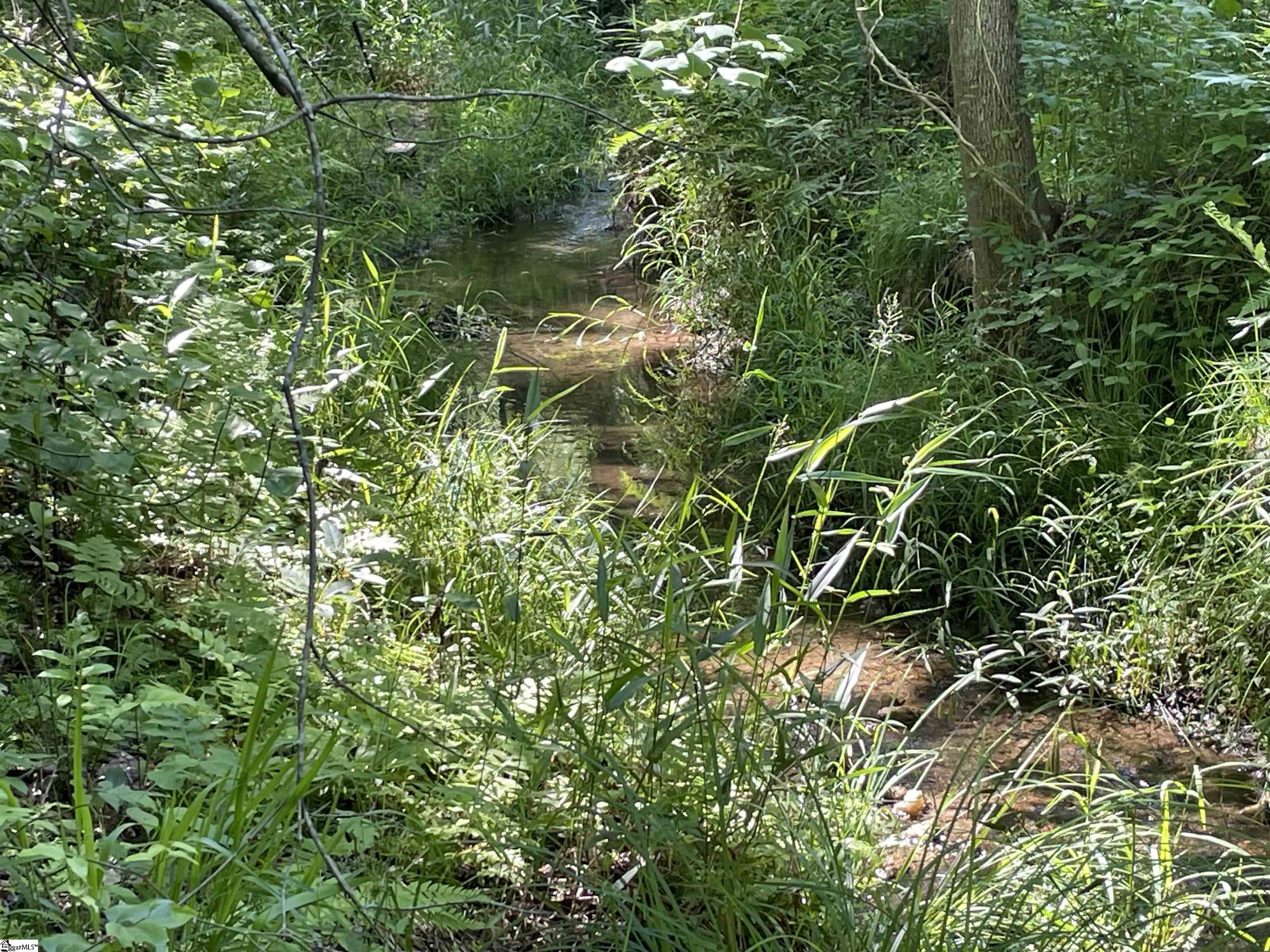 00 Clatworthy, Honea Path, South Carolina image 3