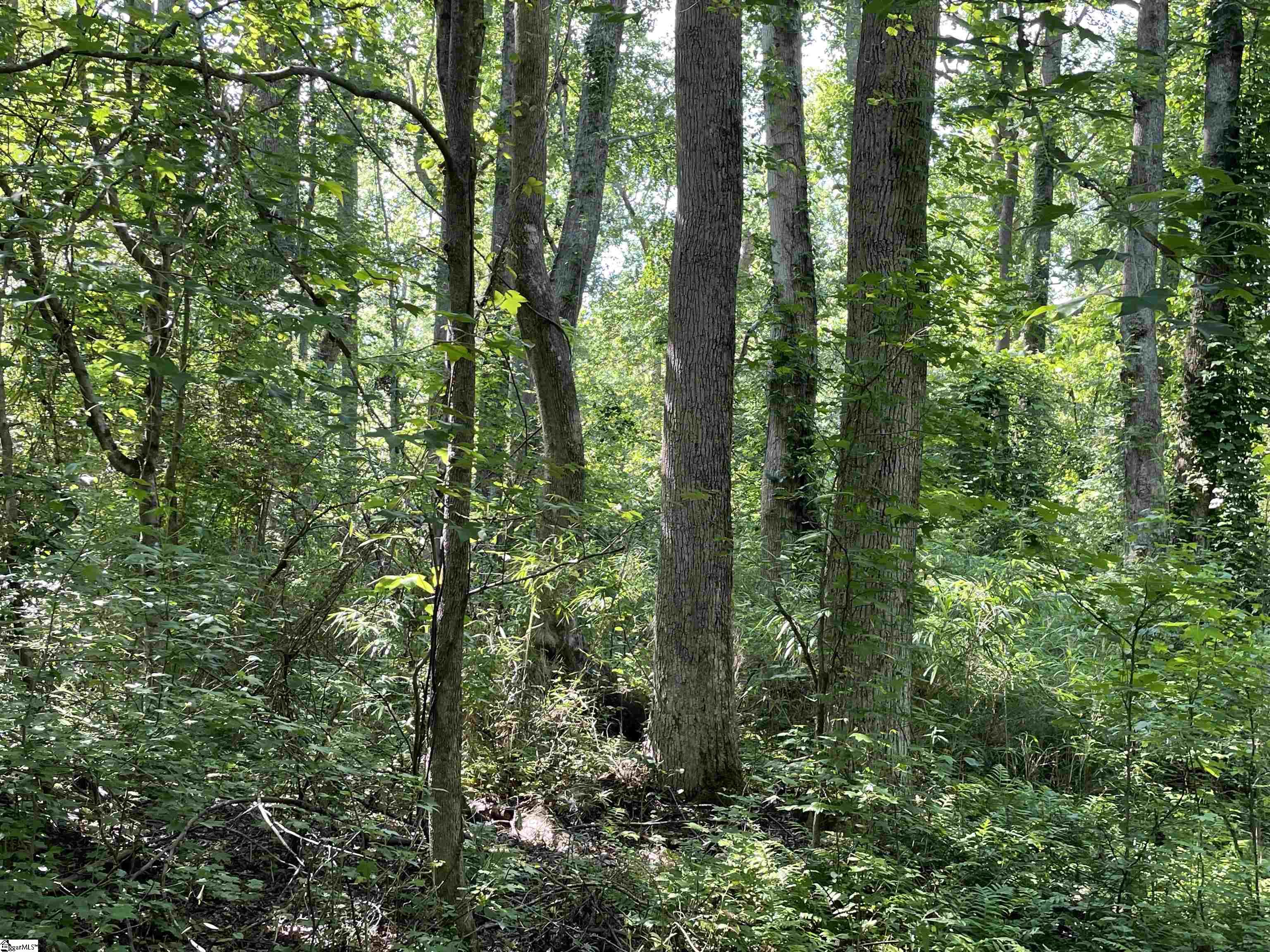 00 Clatworthy, Honea Path, South Carolina image 6