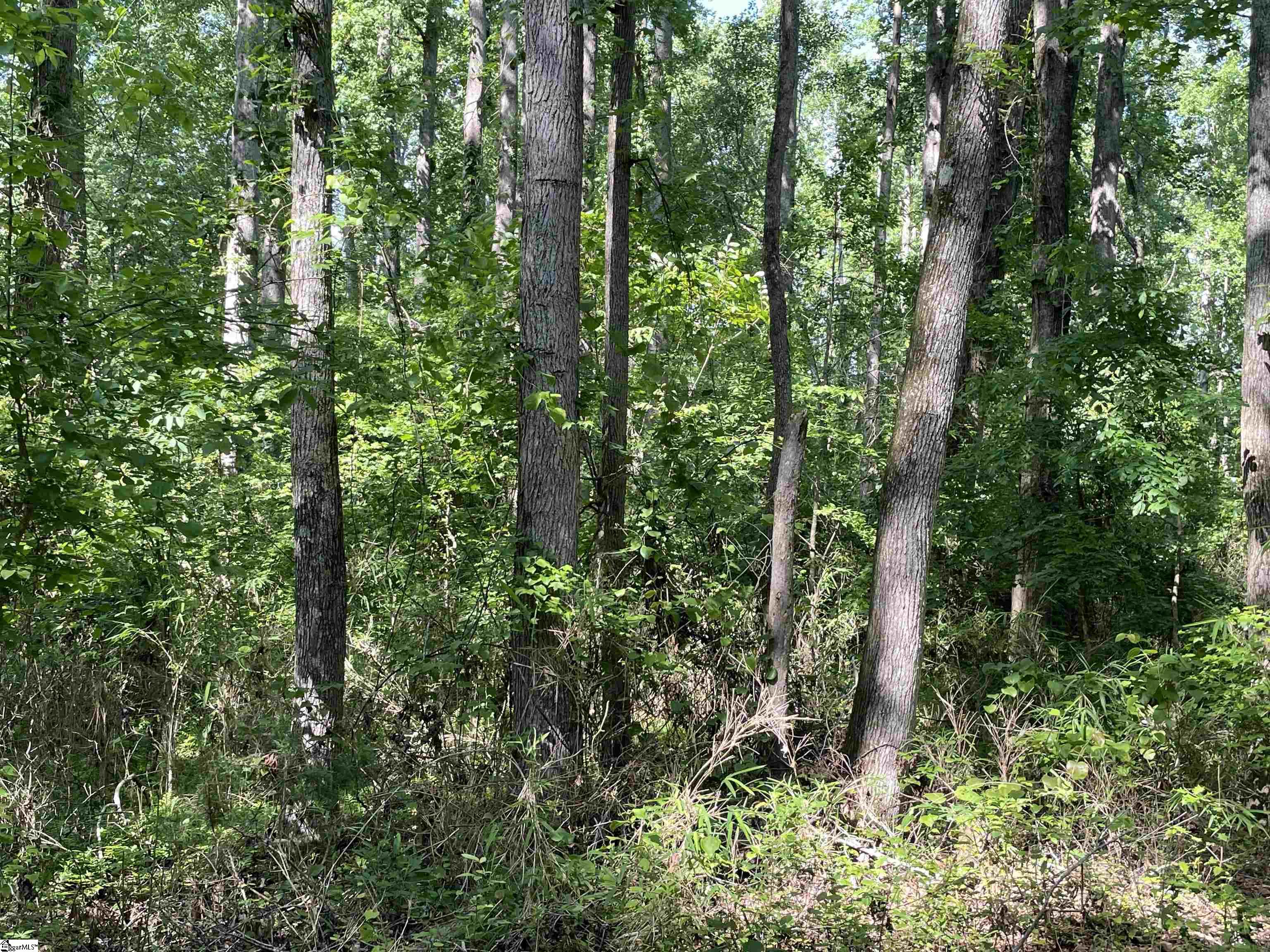00 Clatworthy, Honea Path, South Carolina image 7