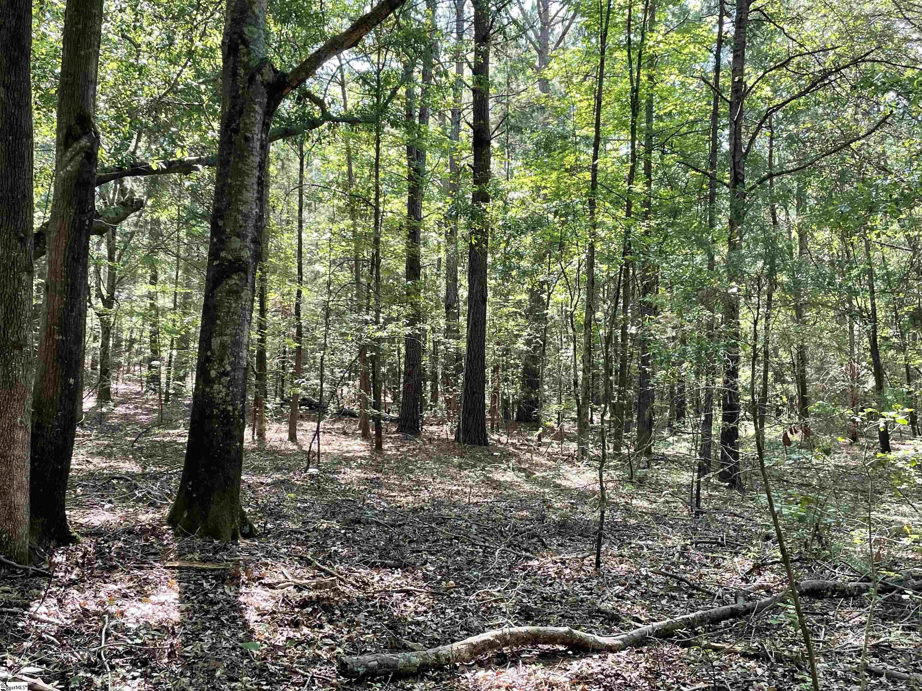 00 Clatworthy, Honea Path, South Carolina image 9