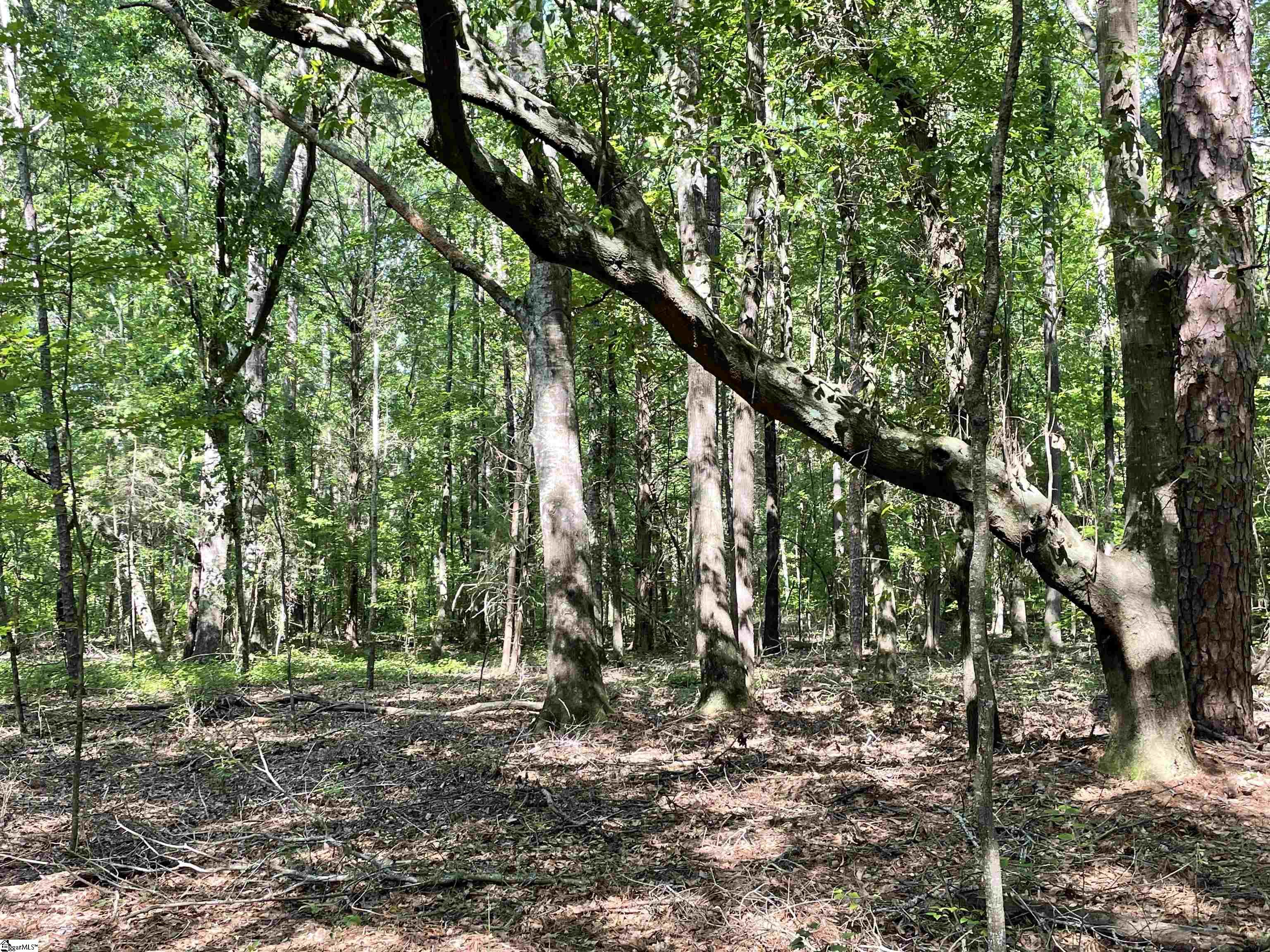 00 Clatworthy, Honea Path, South Carolina image 10