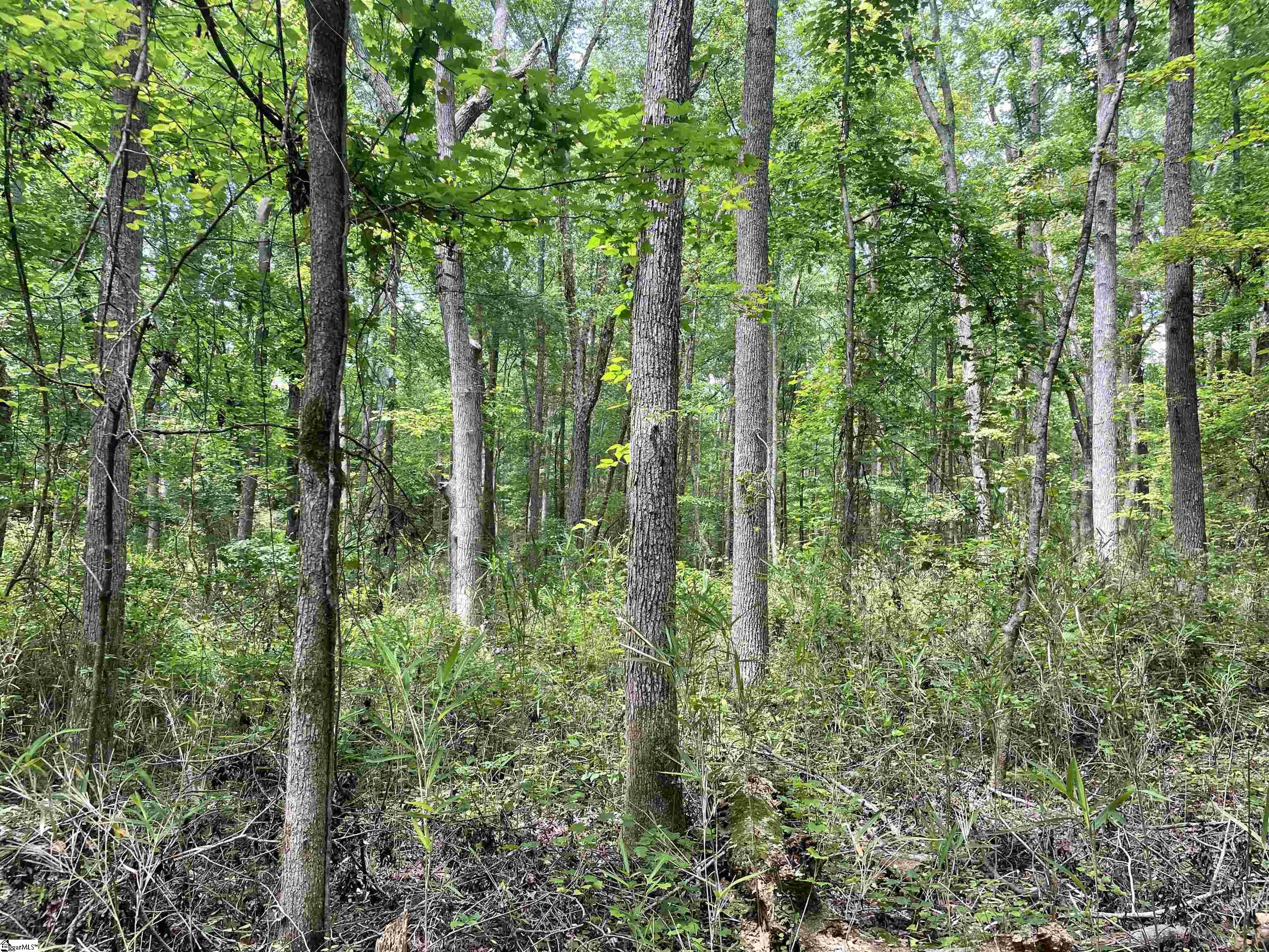 00 Clatworthy, Honea Path, South Carolina image 11