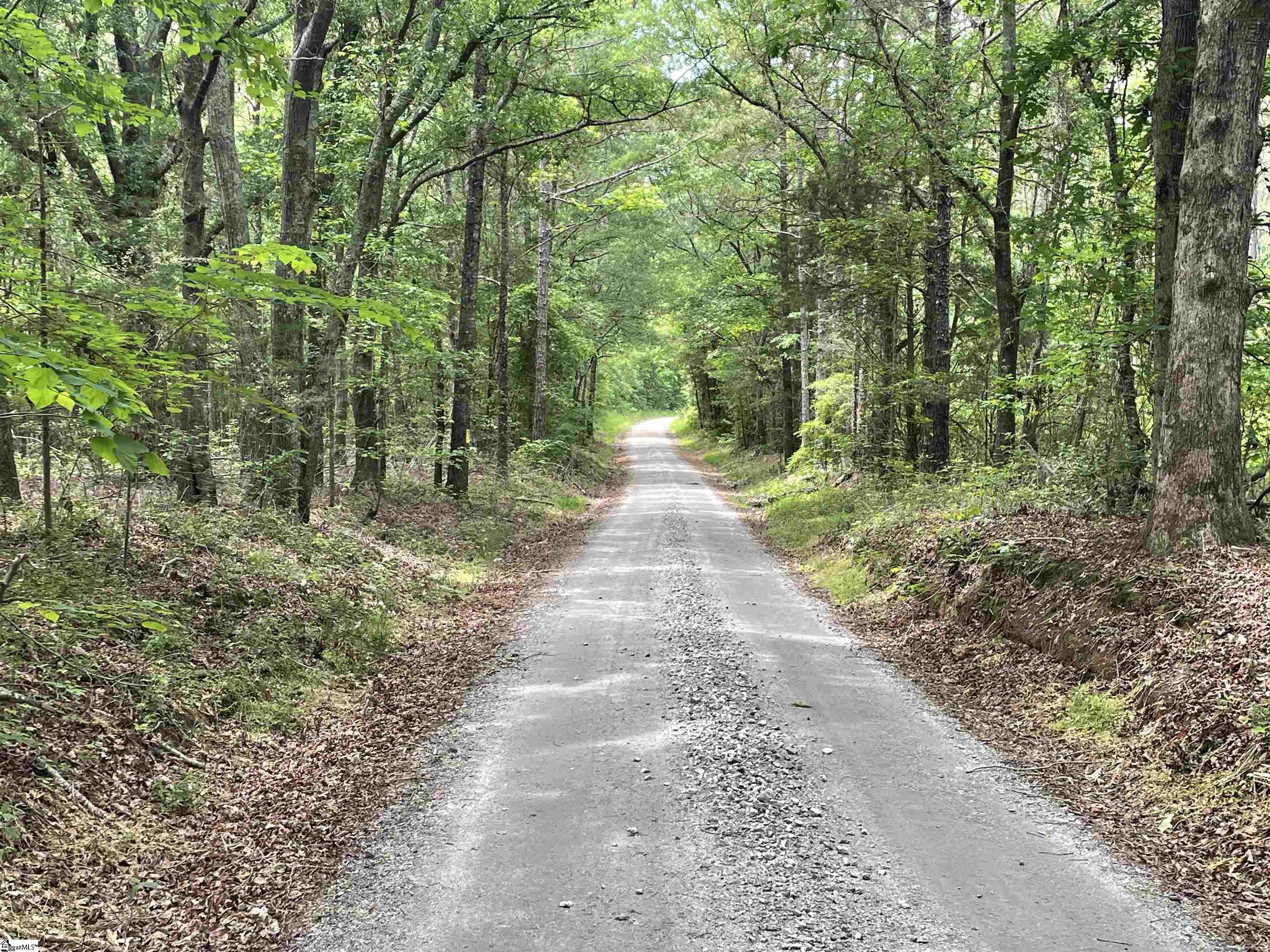 00 Clatworthy, Honea Path, South Carolina image 13