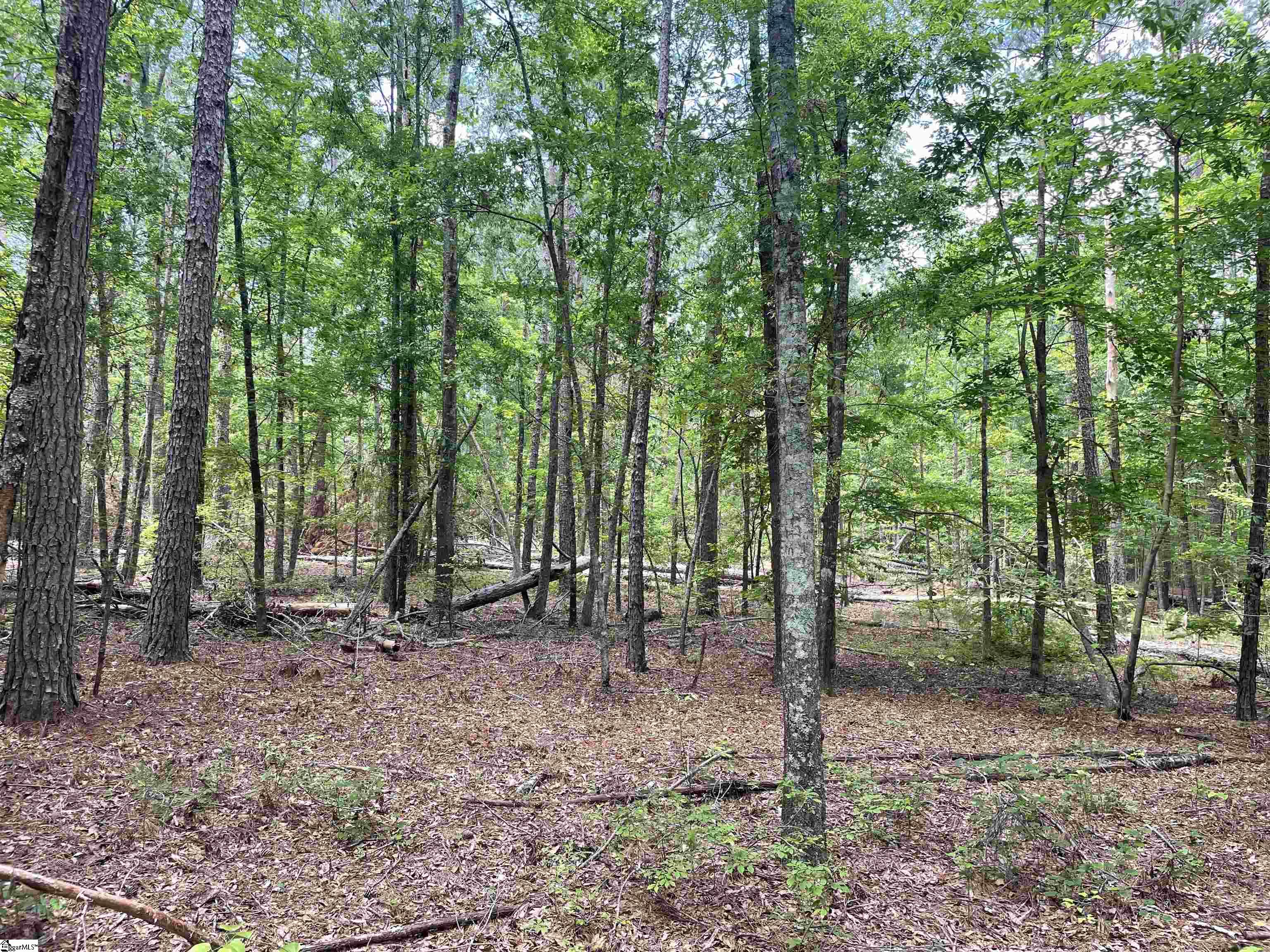 00 Clatworthy, Honea Path, South Carolina image 3