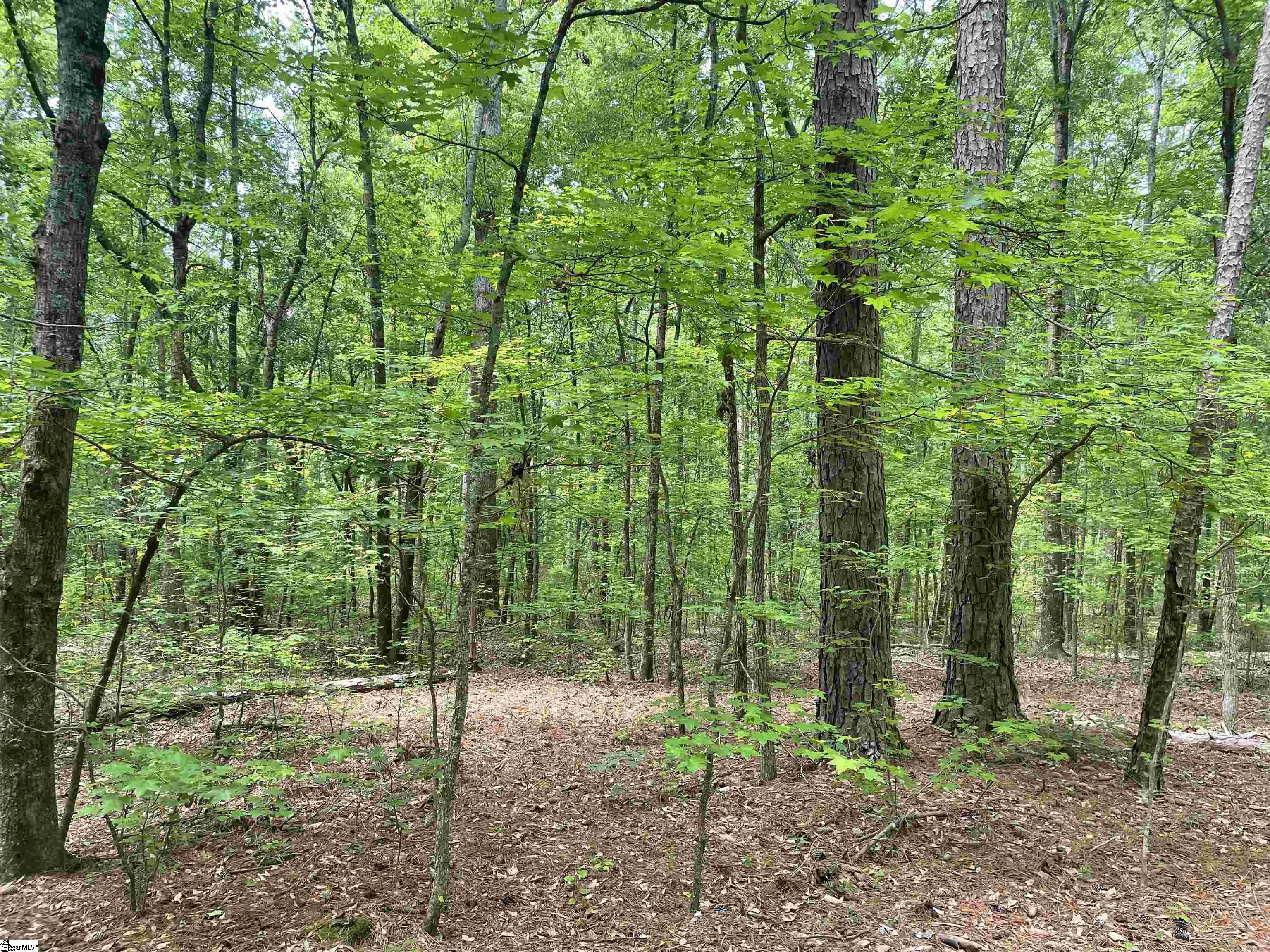 00 Clatworthy, Honea Path, South Carolina image 4