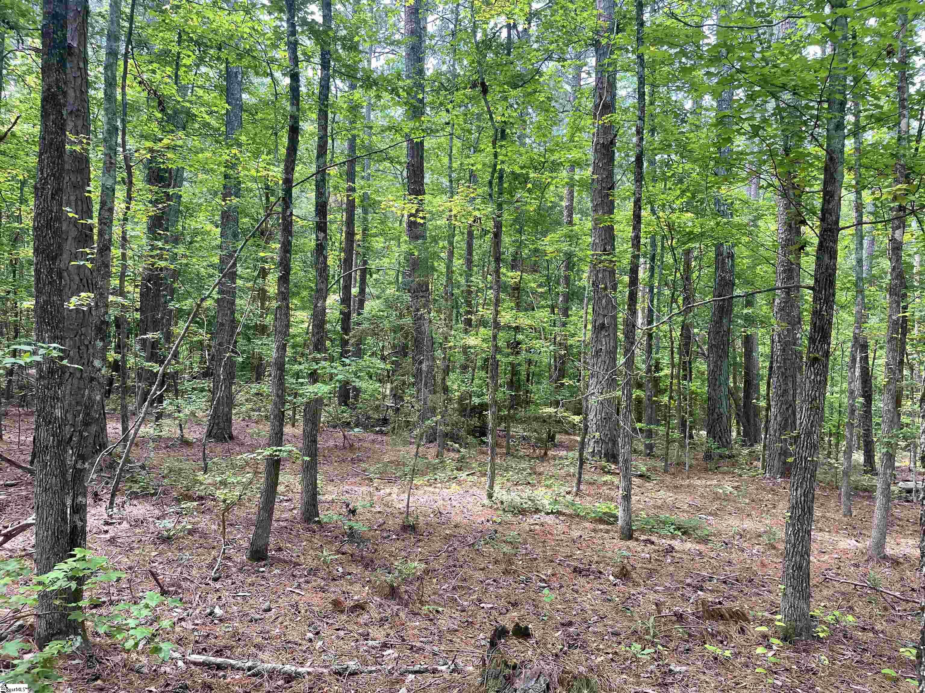 00 Clatworthy, Honea Path, South Carolina image 5