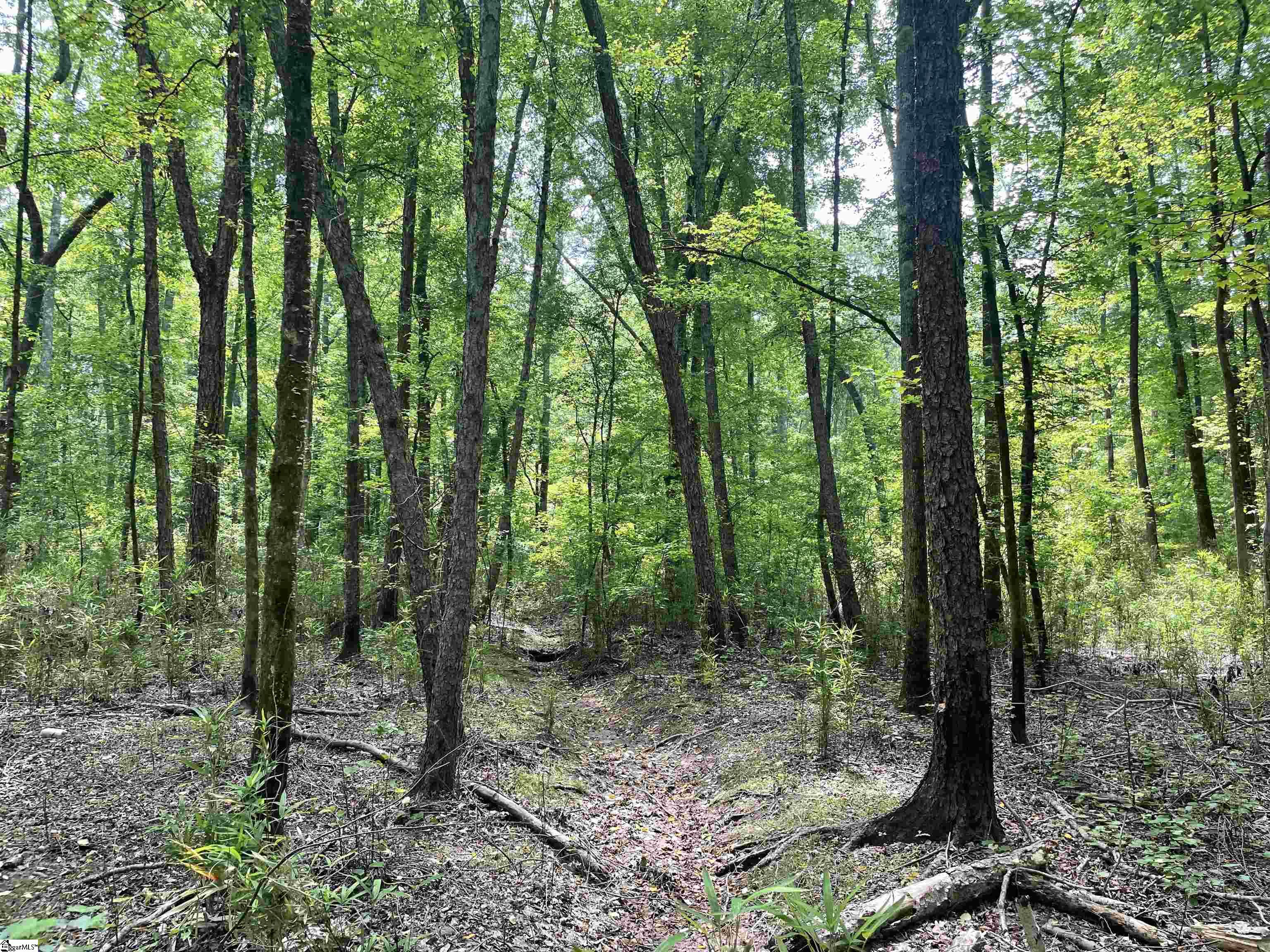 00 Clatworthy, Honea Path, South Carolina image 6