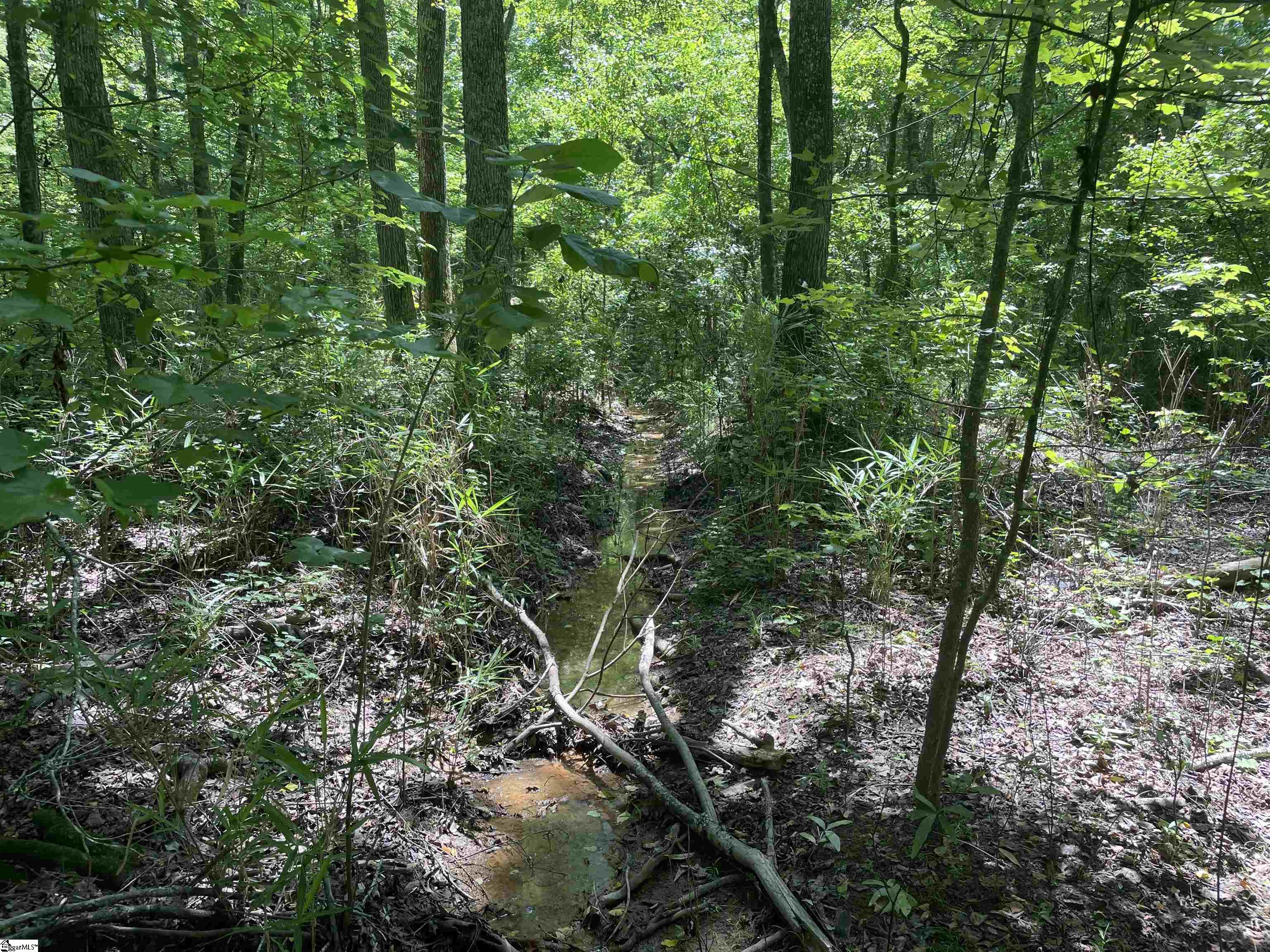 00 Clatworthy, Honea Path, South Carolina image 7