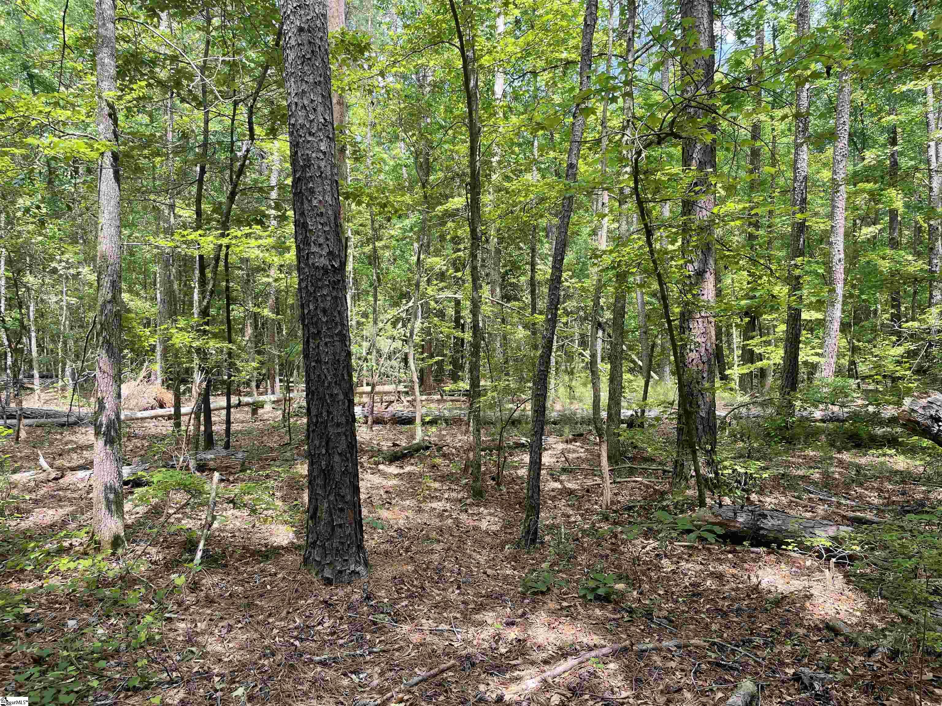 00 Clatworthy, Honea Path, South Carolina image 8