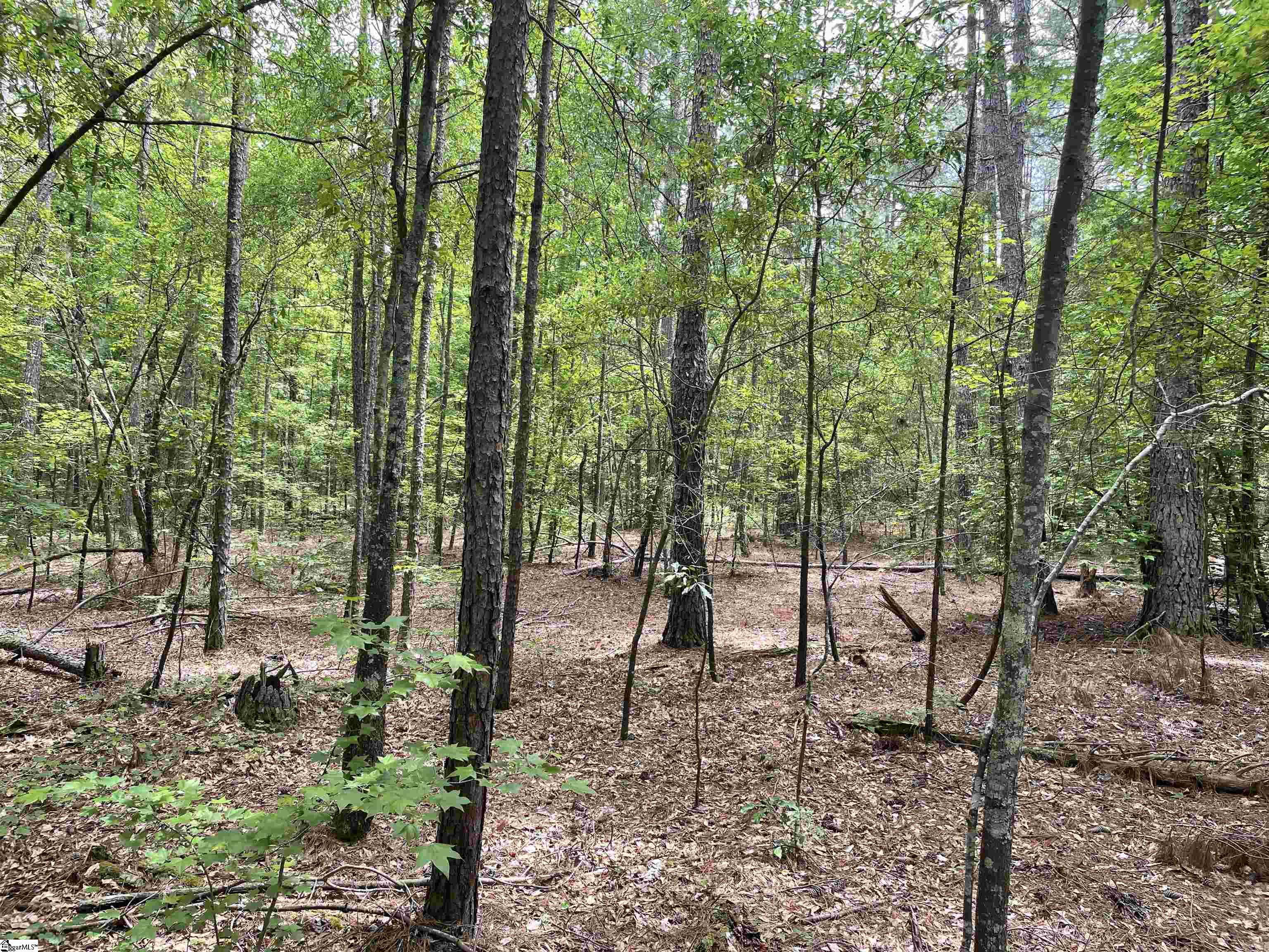 00 Clatworthy, Honea Path, South Carolina image 3
