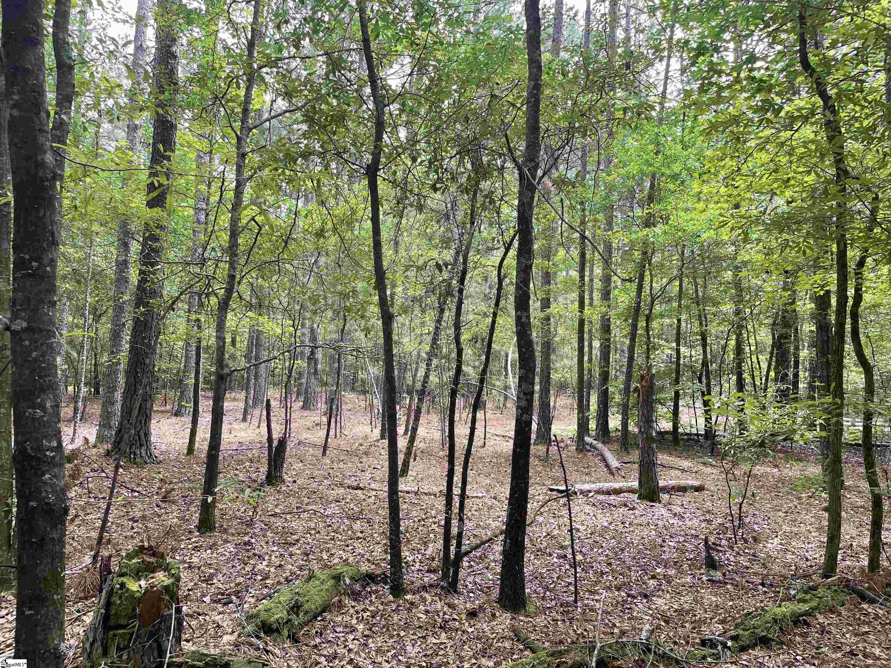 00 Clatworthy, Honea Path, South Carolina image 4