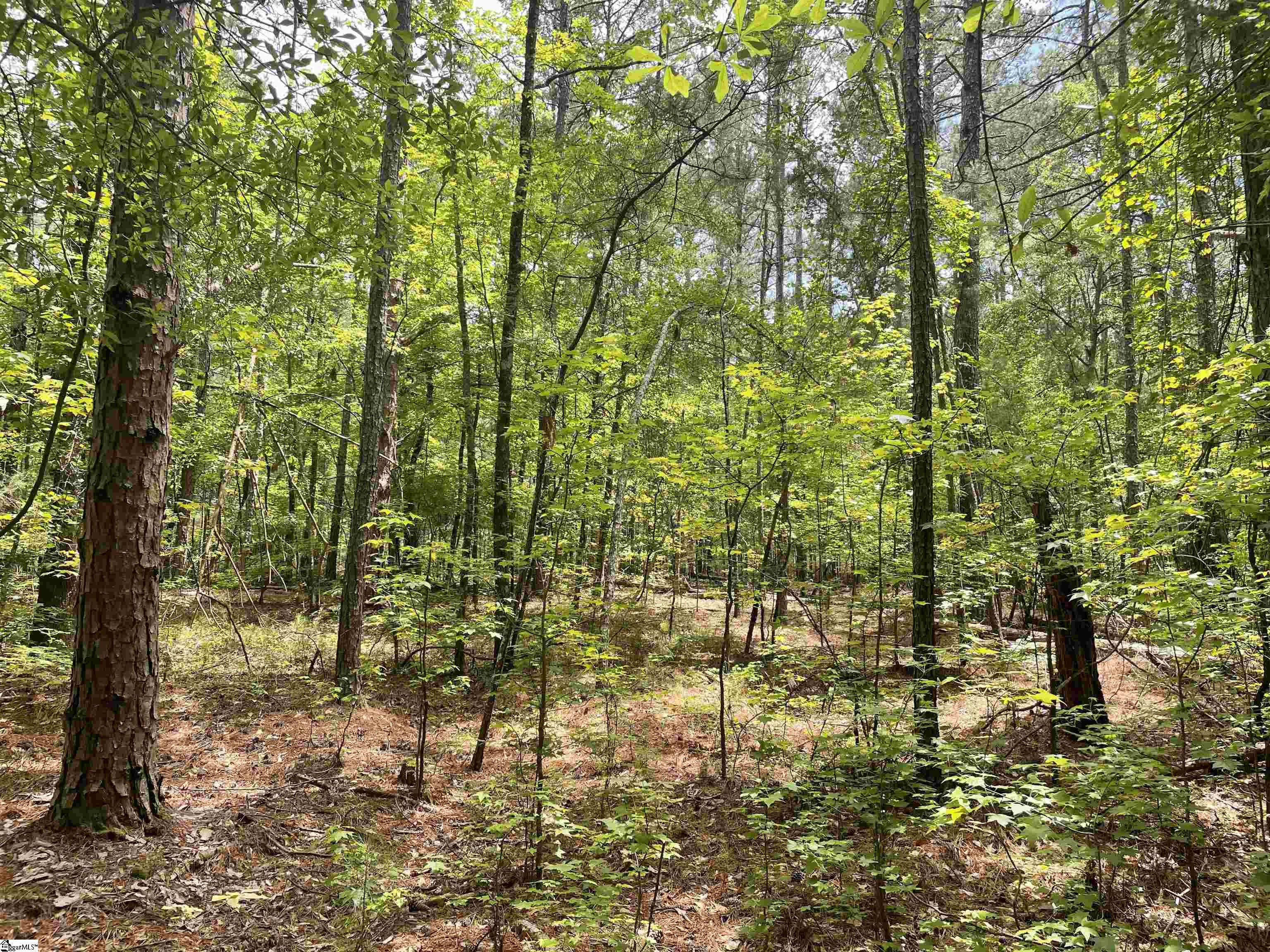 00 Clatworthy, Honea Path, South Carolina image 5