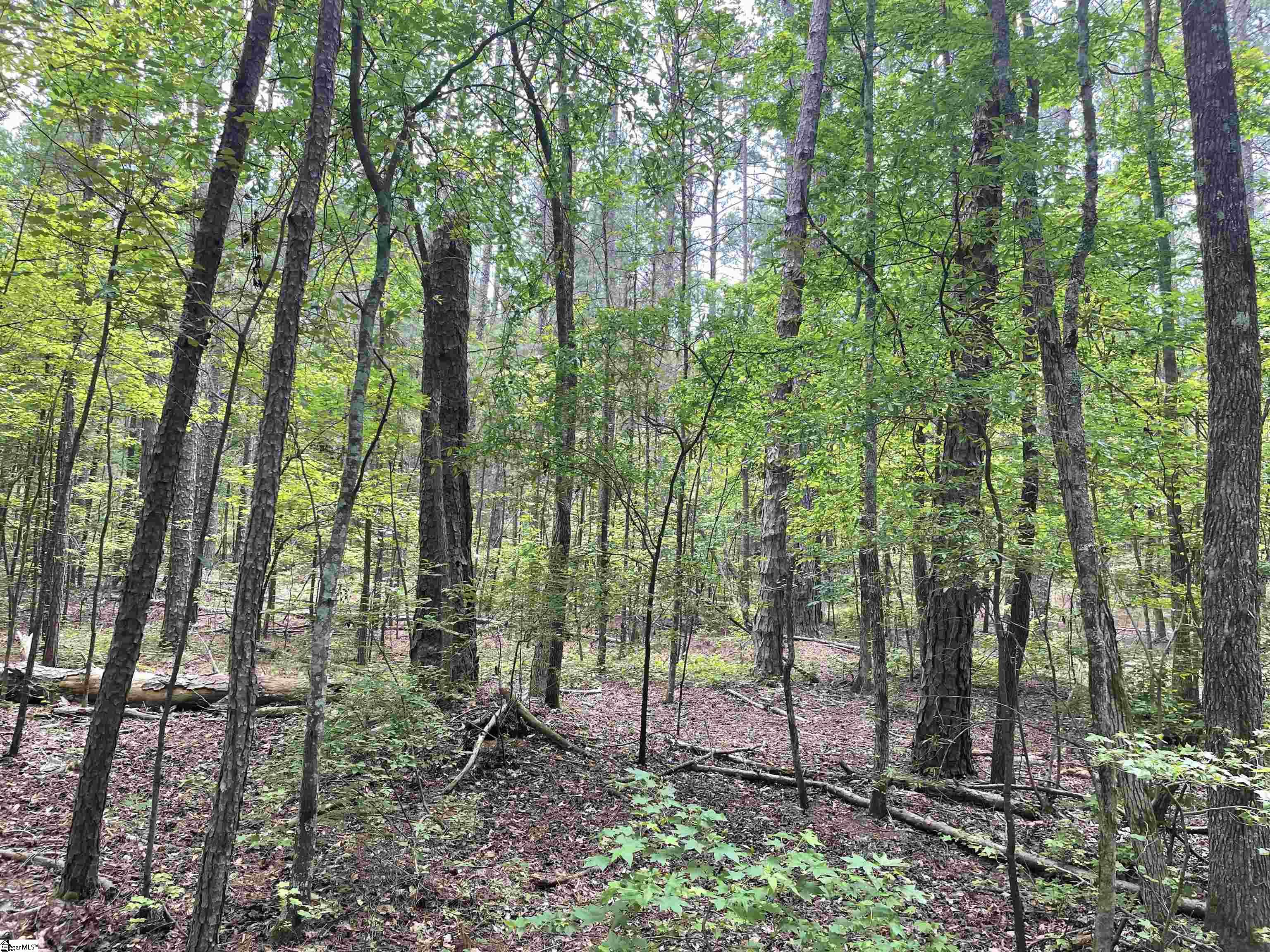00 Clatworthy, Honea Path, South Carolina image 6