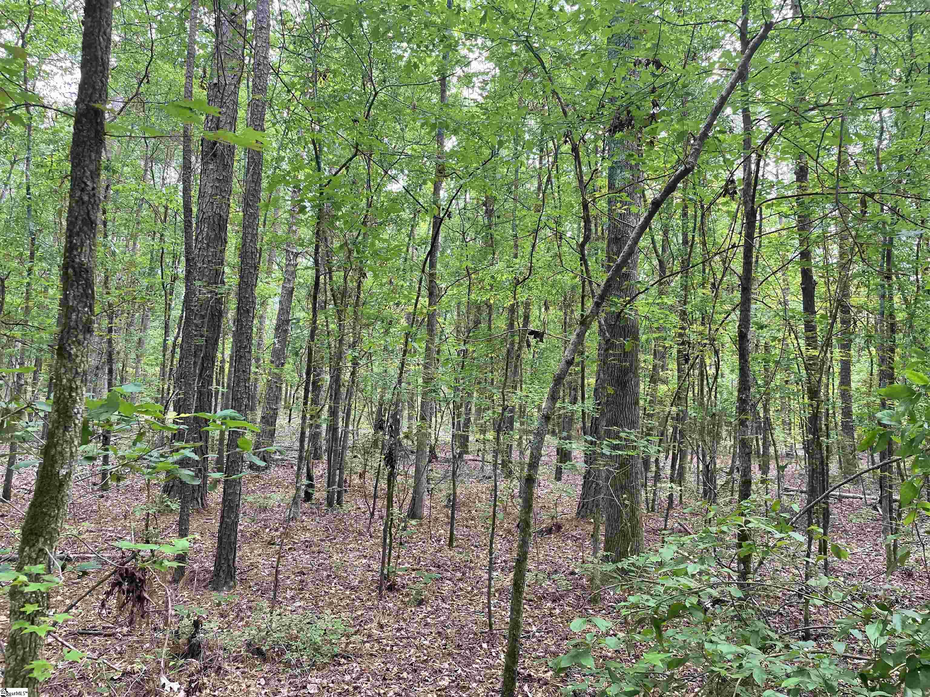 00 Clatworthy, Honea Path, South Carolina image 7