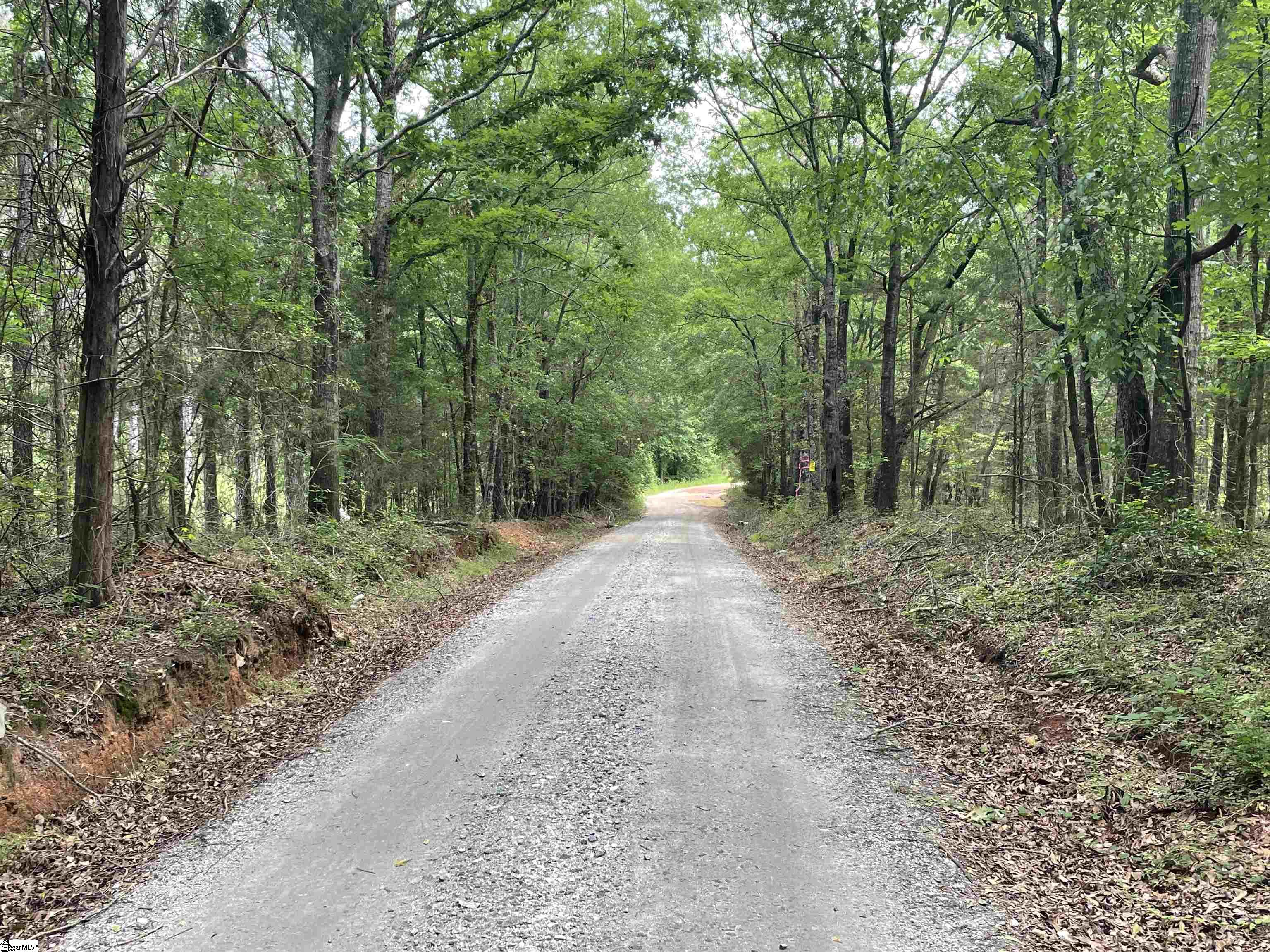 00 Clatworthy, Honea Path, South Carolina image 9
