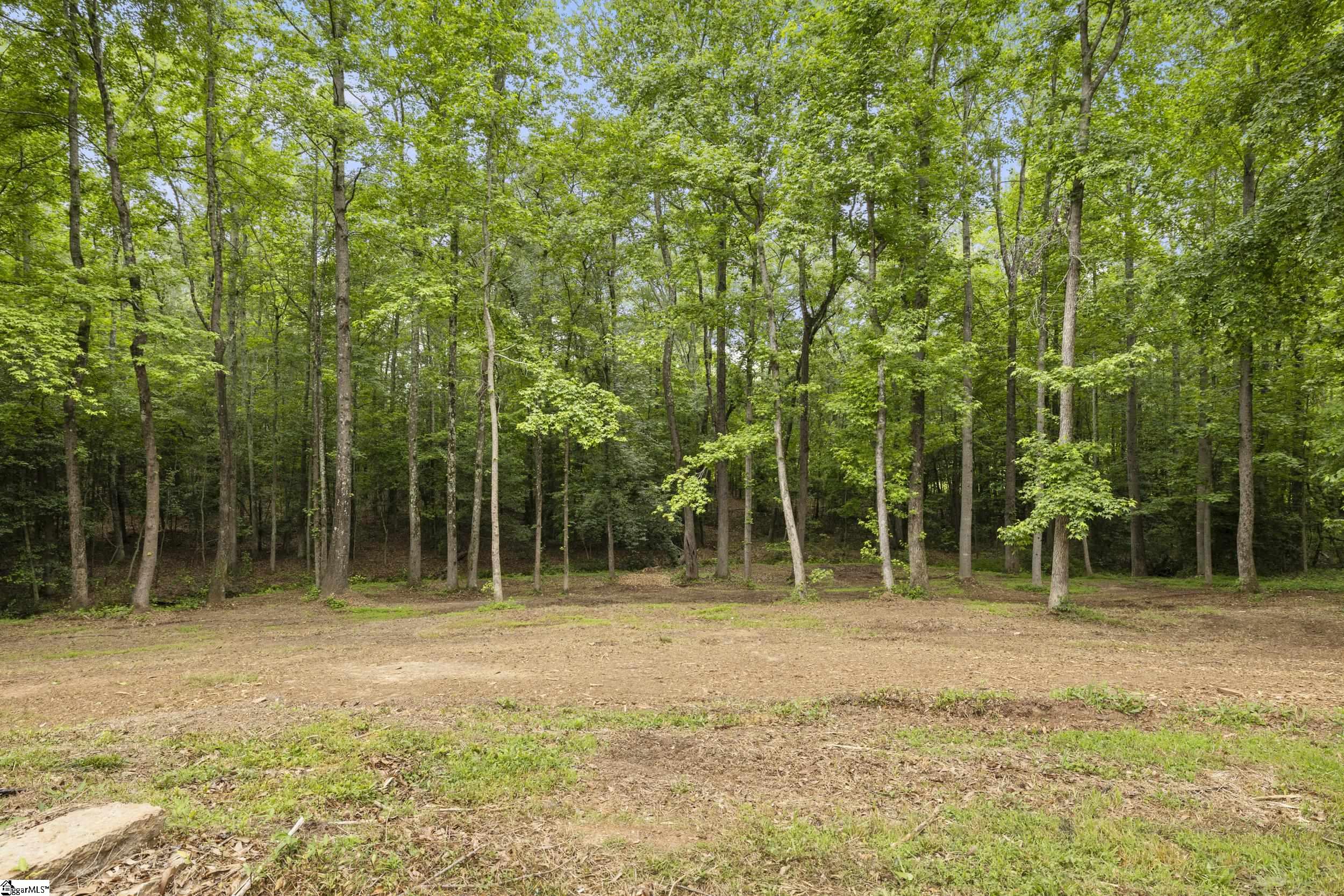 109 River Forest, Greenville, South Carolina image 41