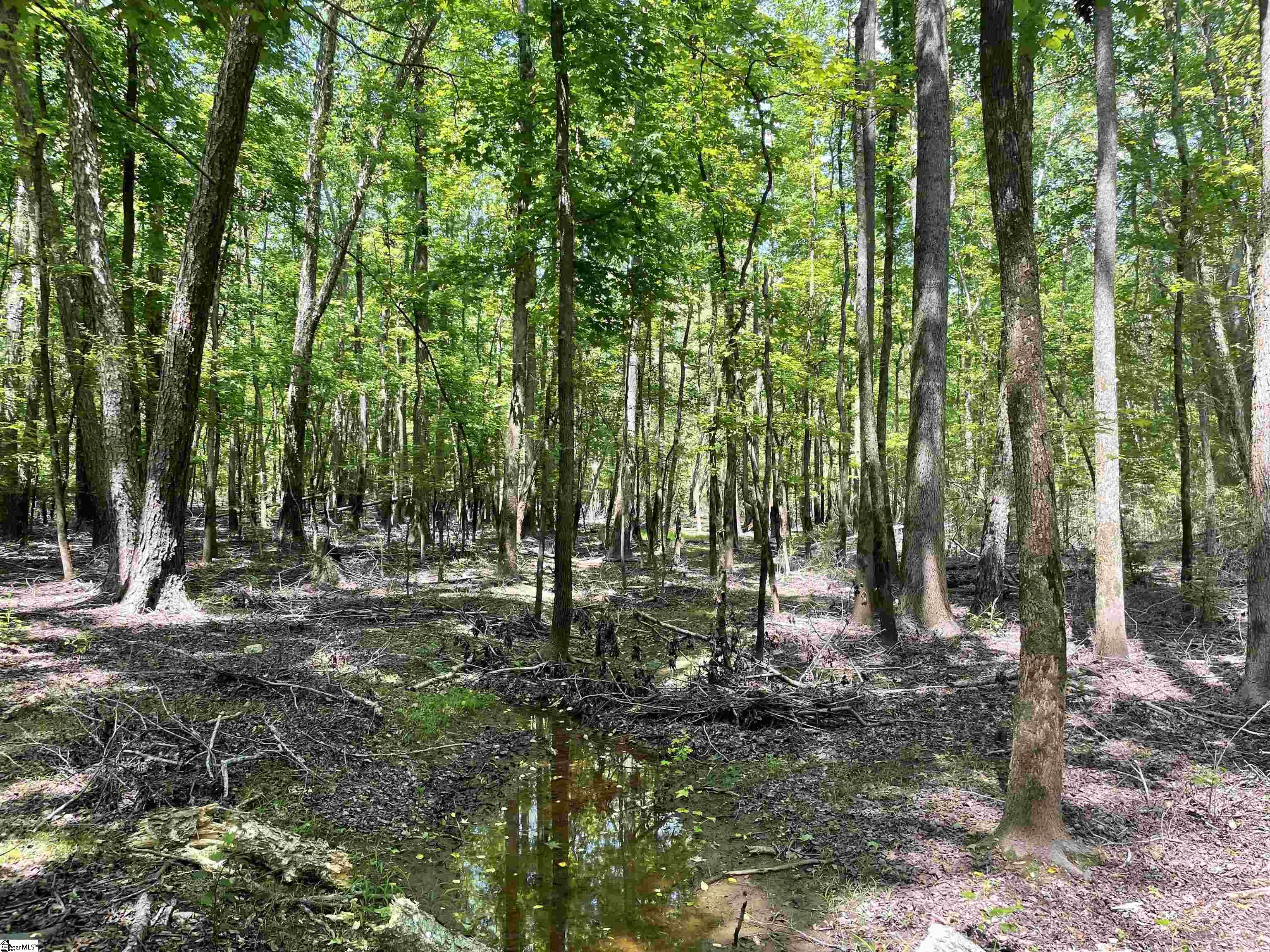 00 Clatworthy, Honea Path, South Carolina image 13