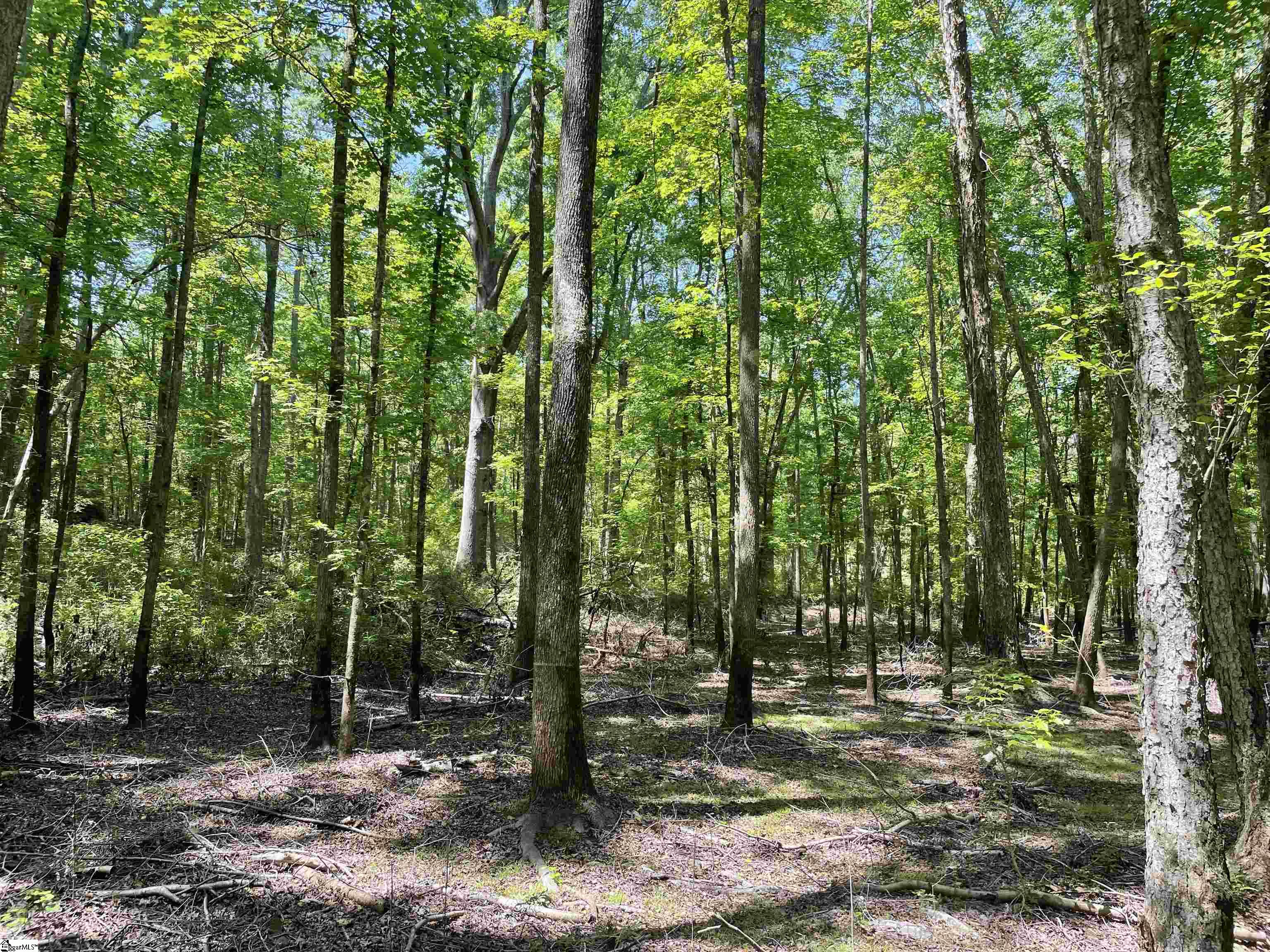 00 Clatworthy, Honea Path, South Carolina image 14