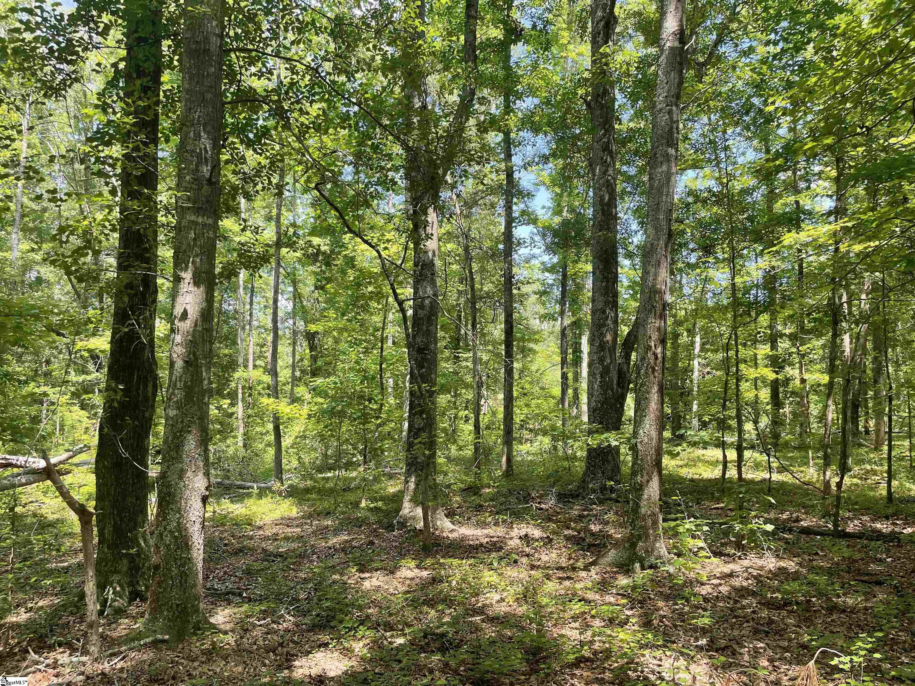 00 Clatworthy, Honea Path, South Carolina image 3