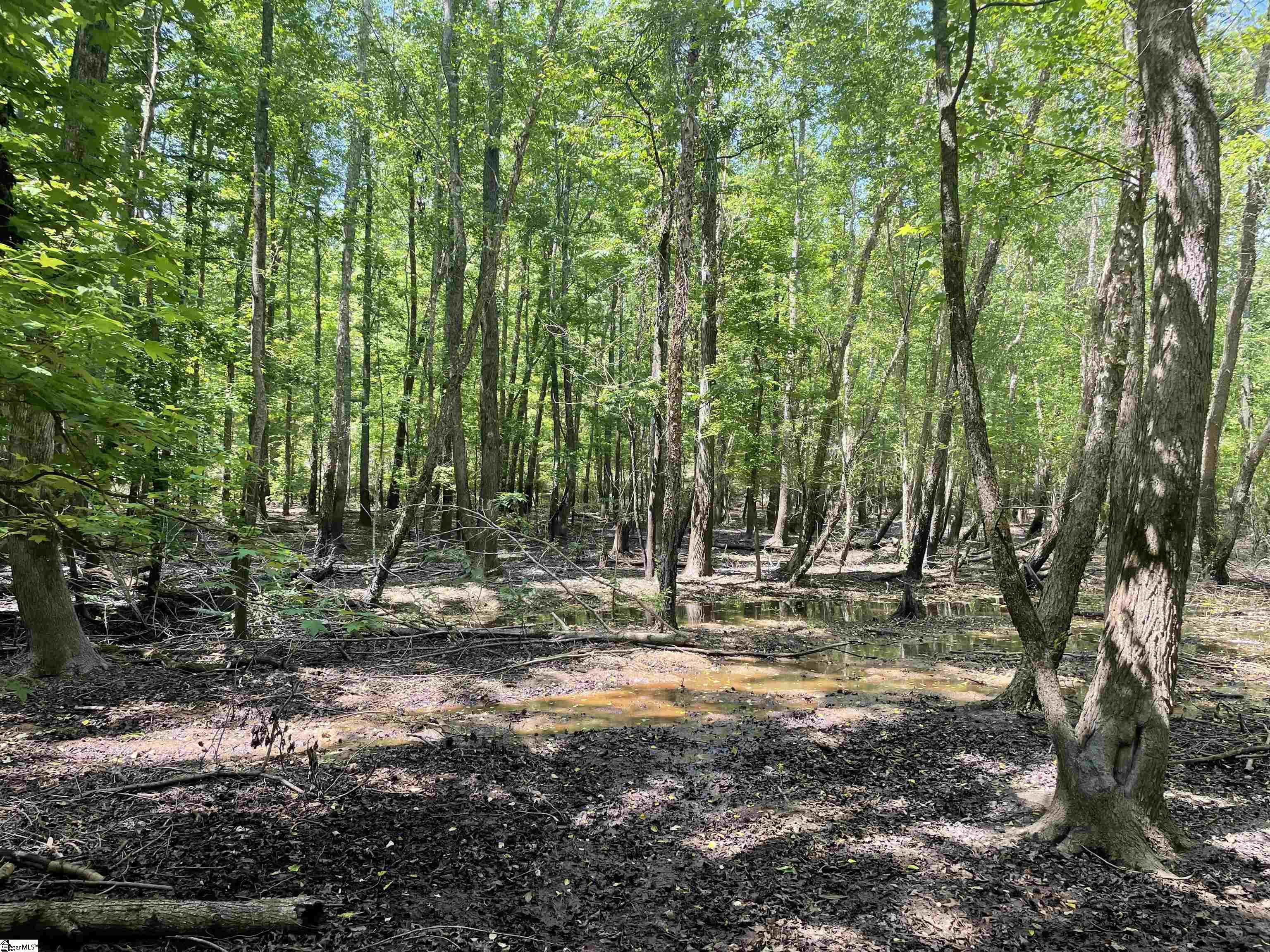 00 Clatworthy, Honea Path, South Carolina image 7