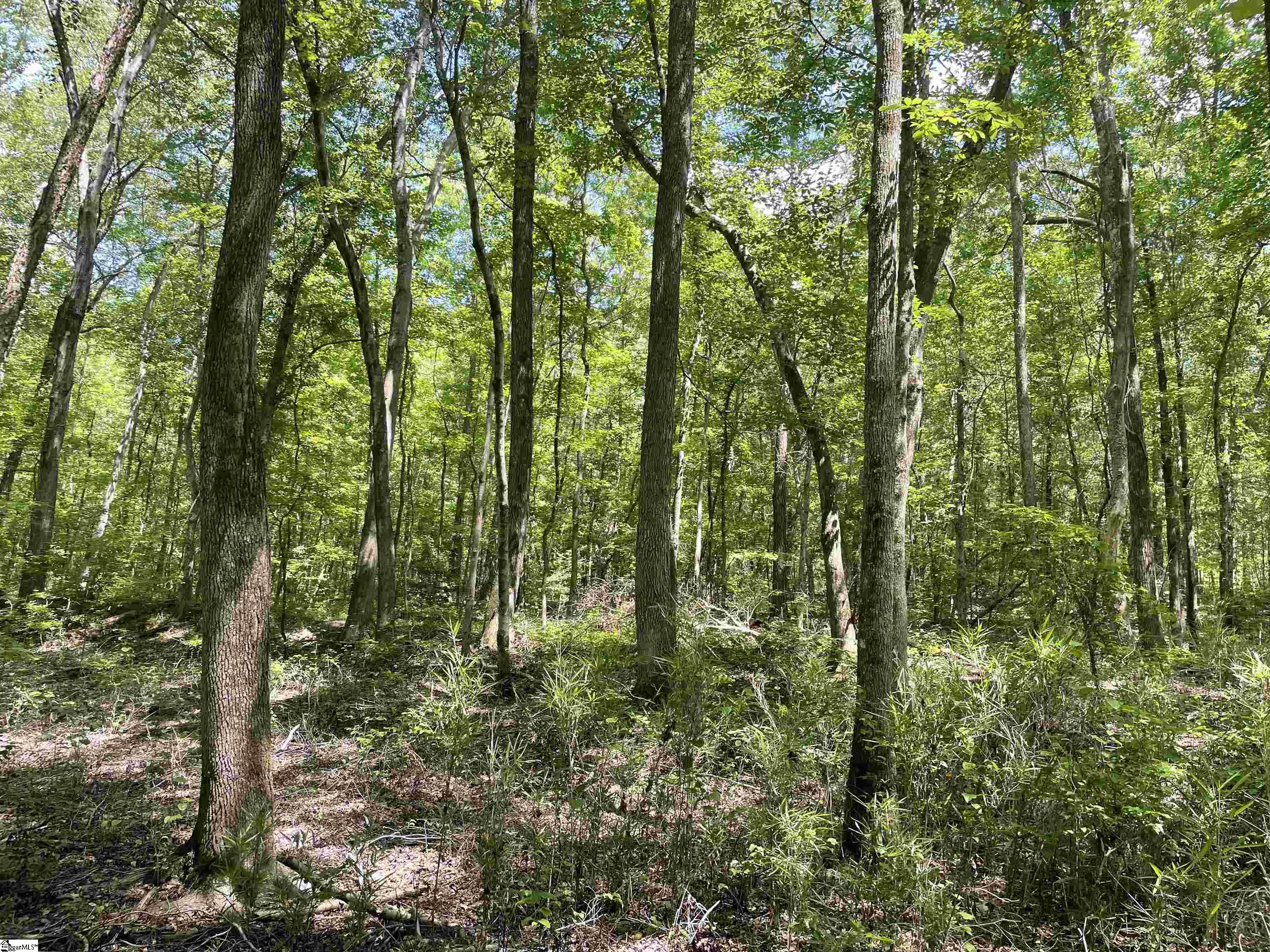 00 Clatworthy, Honea Path, South Carolina image 10