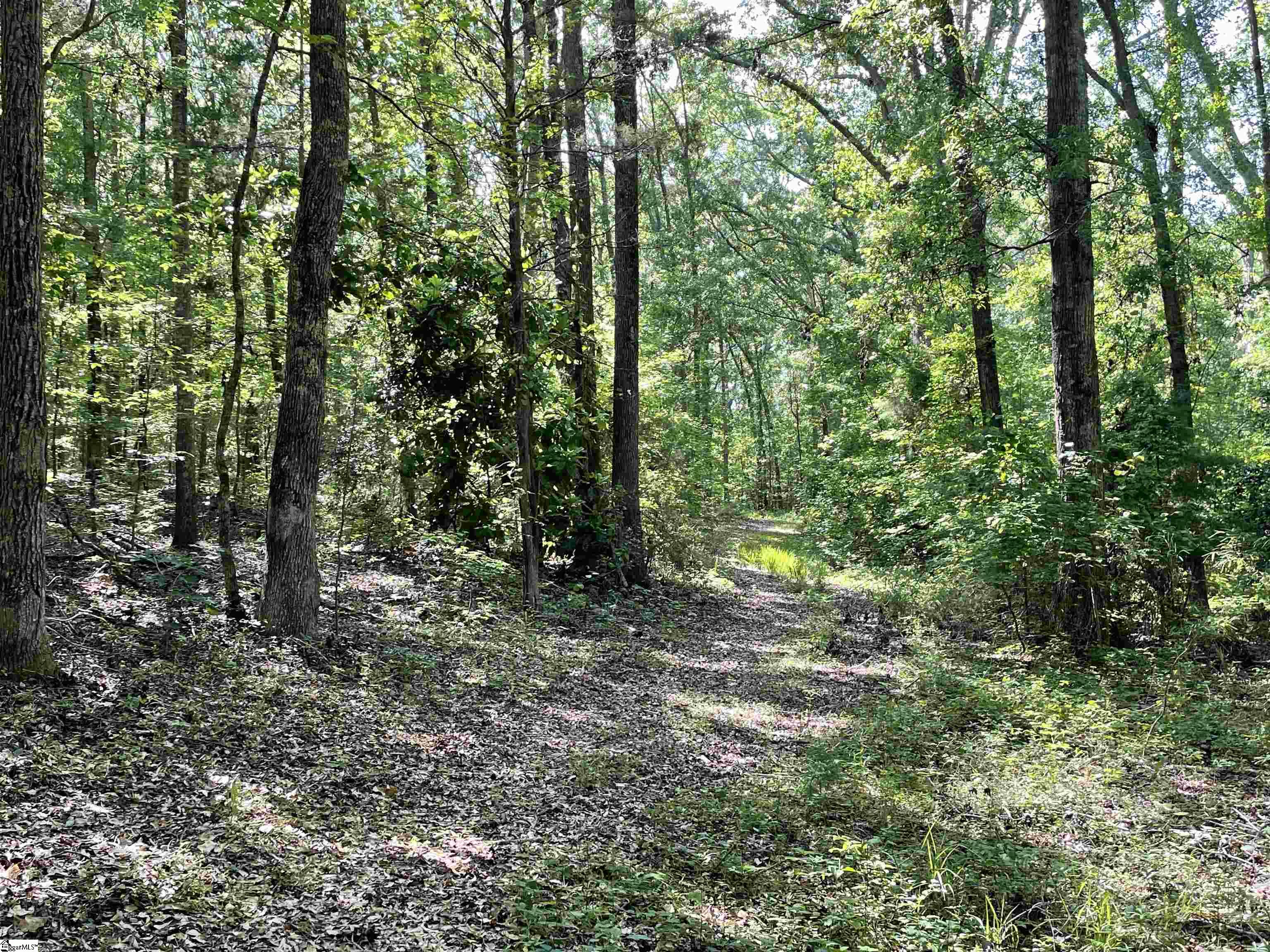 00 Clatworthy, Honea Path, South Carolina image 5