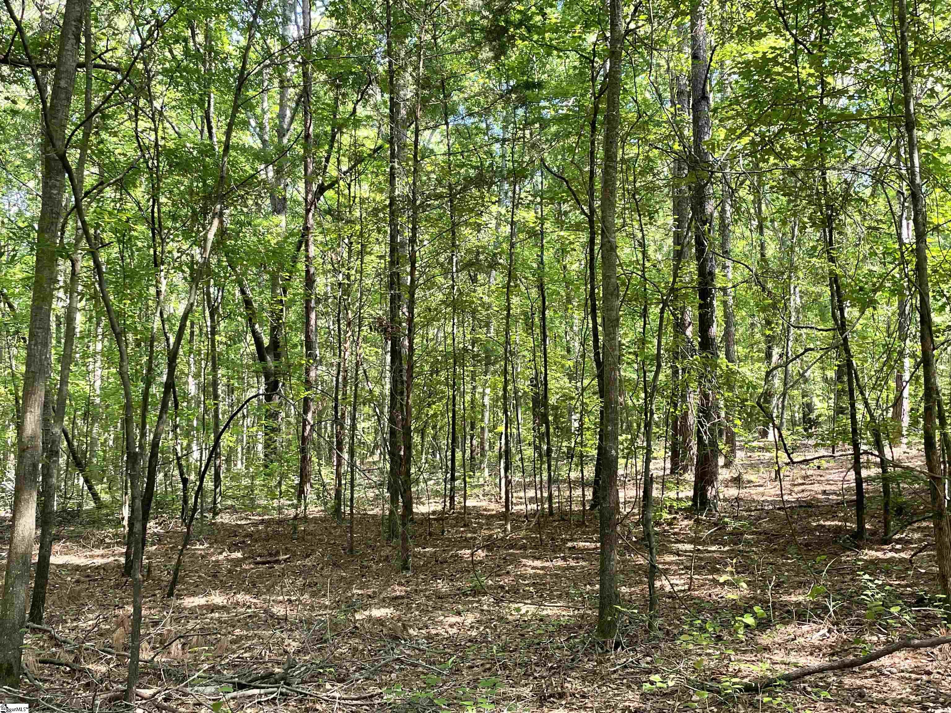 00 Clatworthy, Honea Path, South Carolina image 8