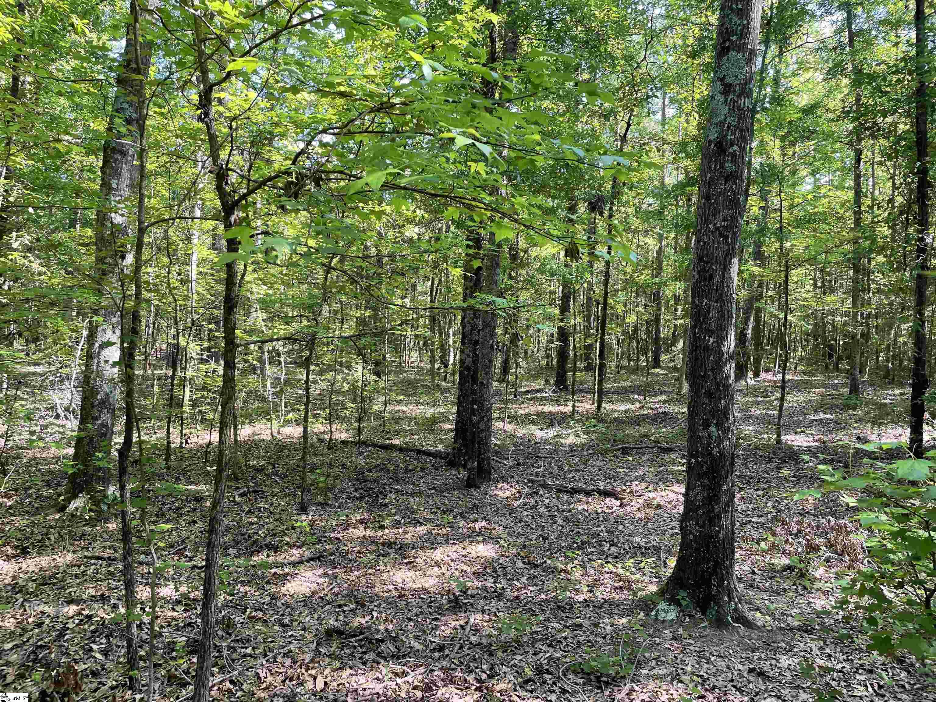 00 Clatworthy, Honea Path, South Carolina image 2