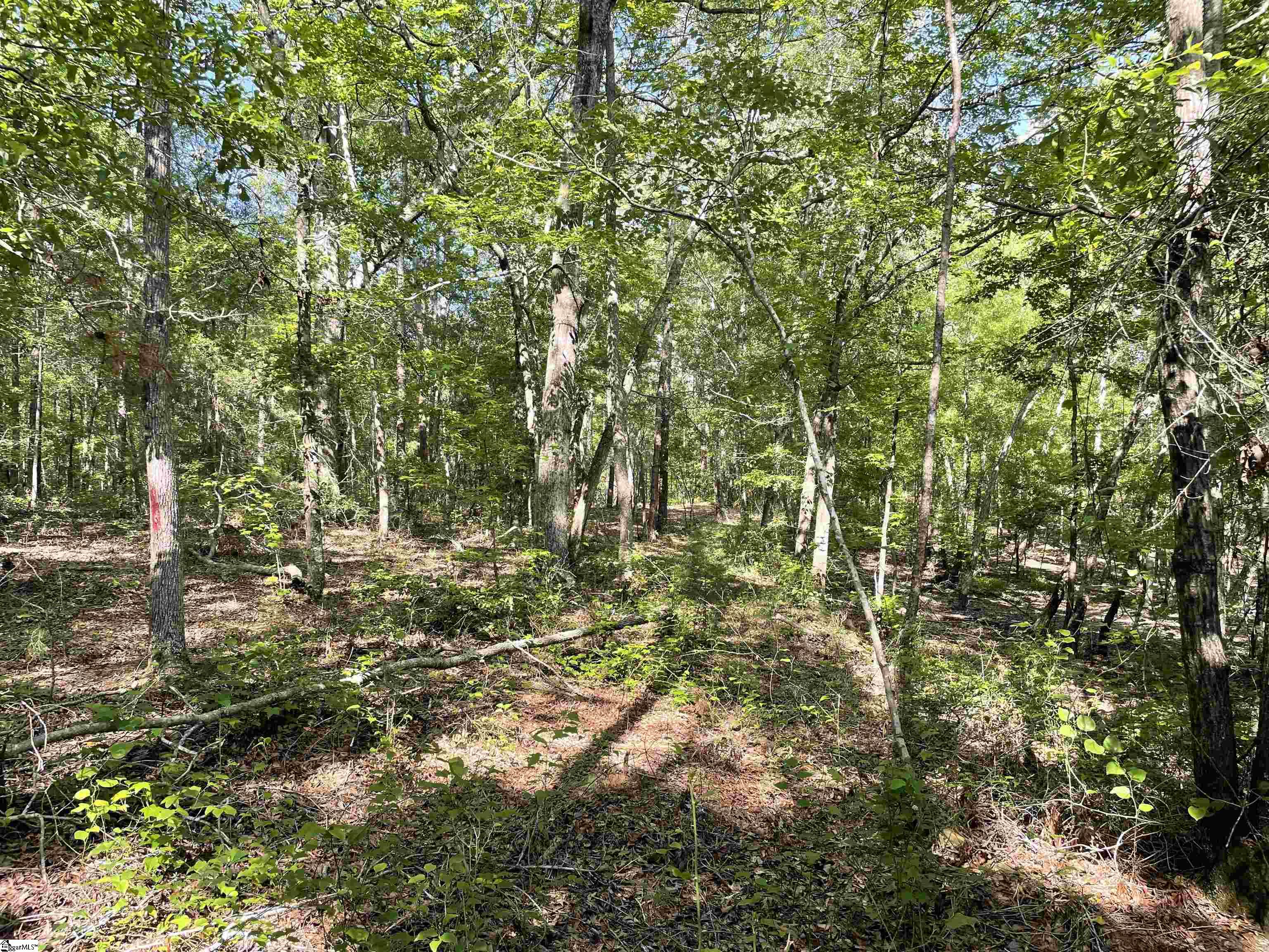 00 Clatworthy, Honea Path, South Carolina image 11
