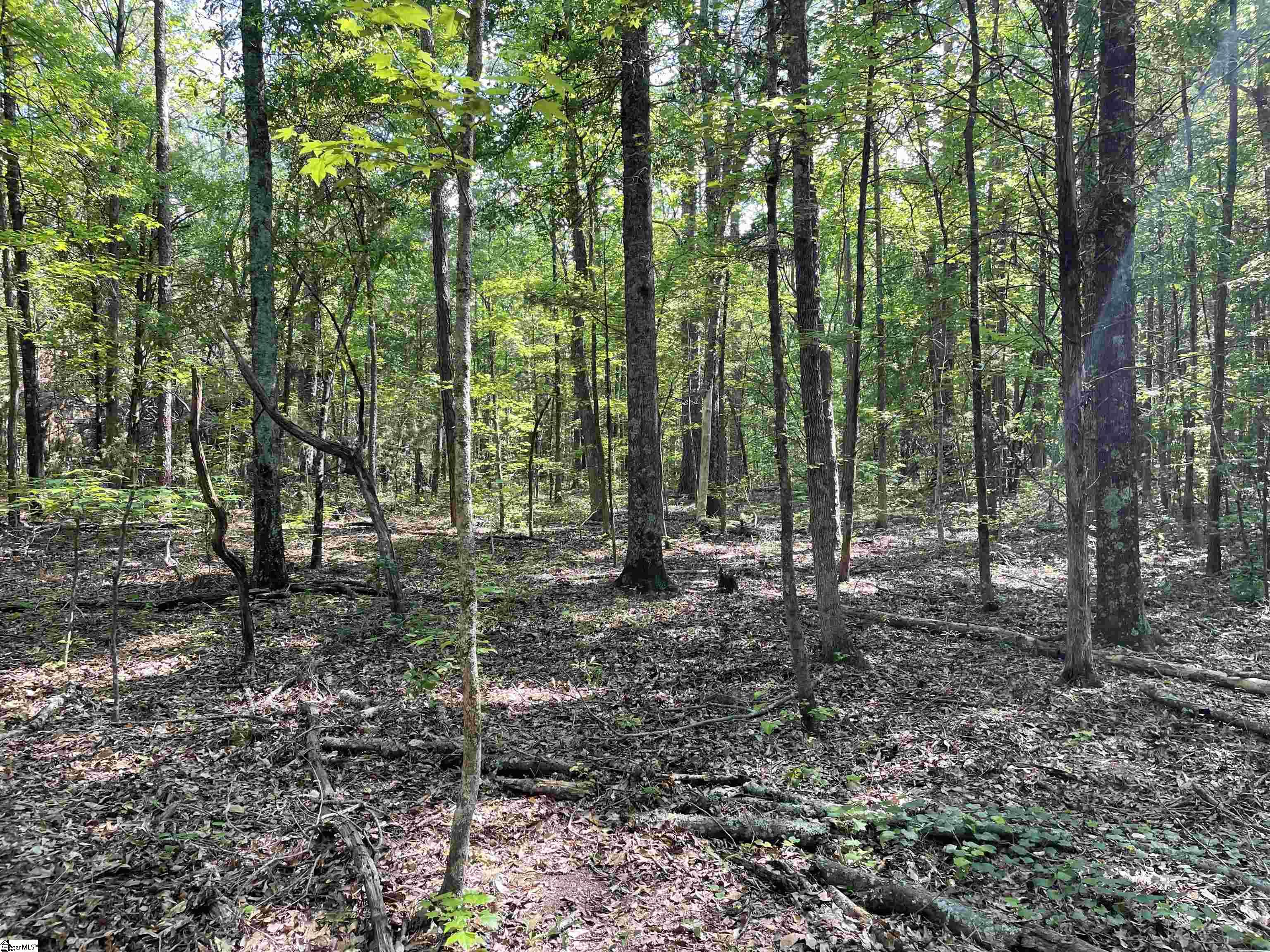 00 Clatworthy, Honea Path, South Carolina image 3