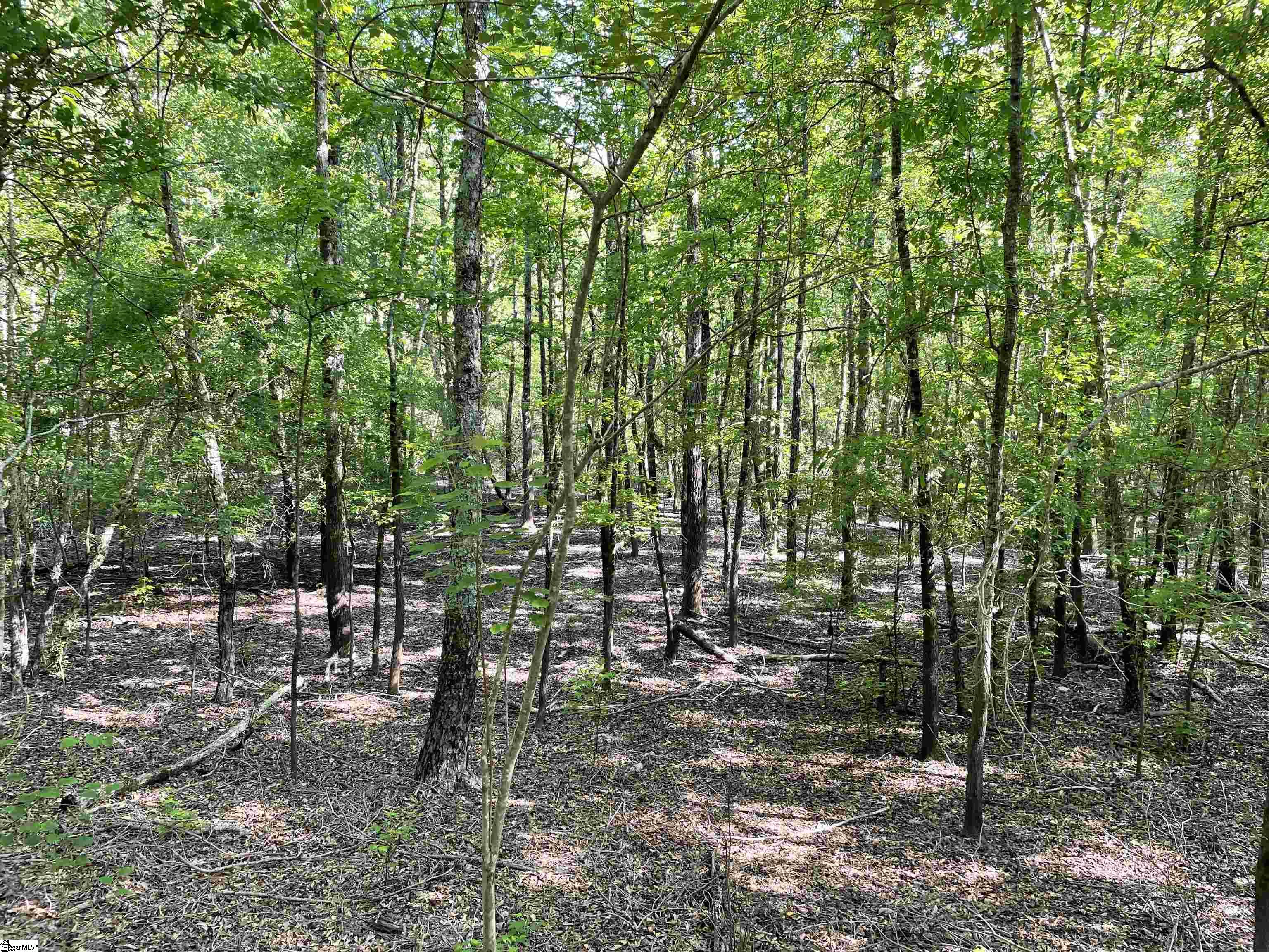 00 Clatworthy, Honea Path, South Carolina image 4
